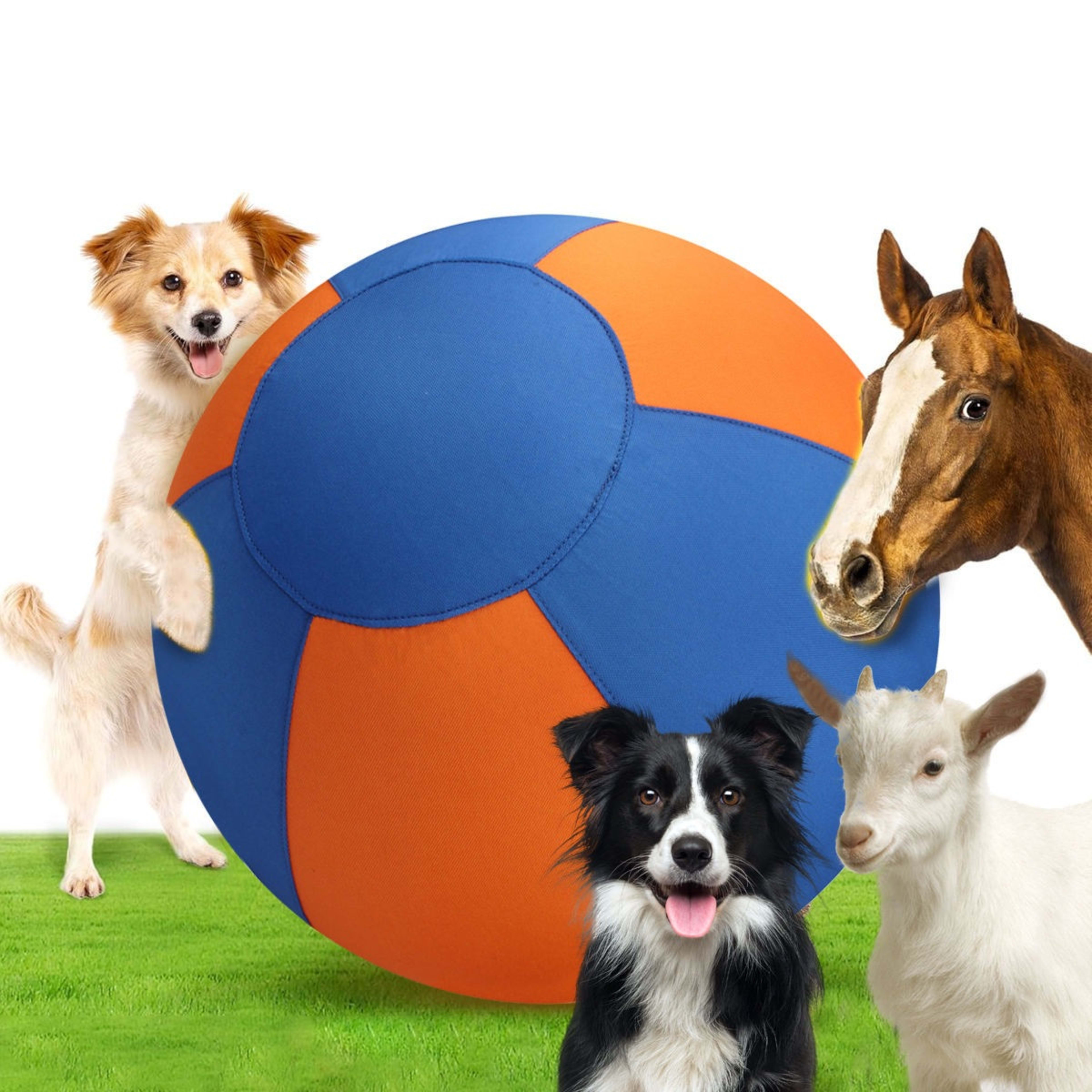 Outdoor Pet Toy Training Inflatable Self-Throwing Ball 3