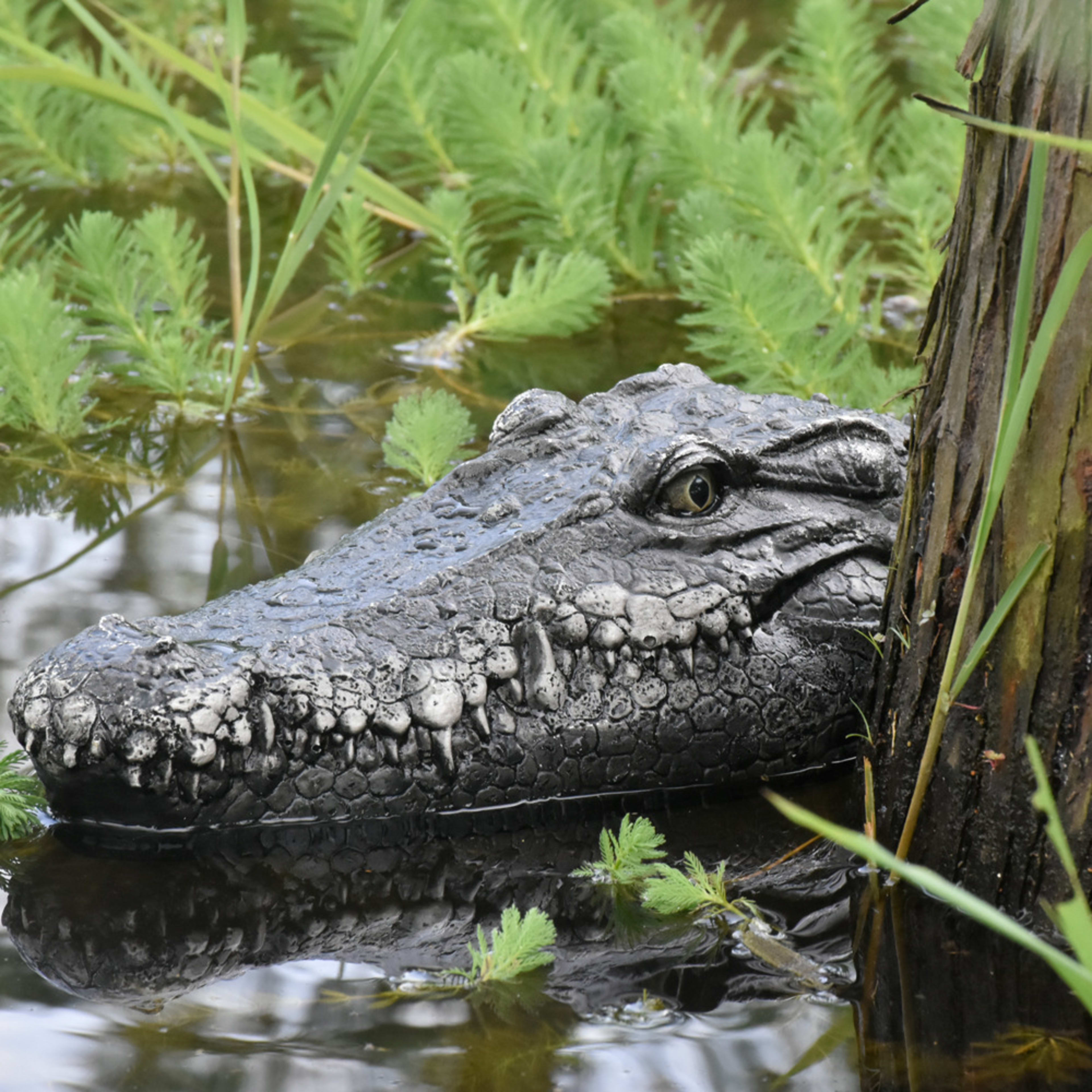 Simulated Crocodile Head Remote-control Ship Children's Water Ship Model Toys Boy Spoof 1
