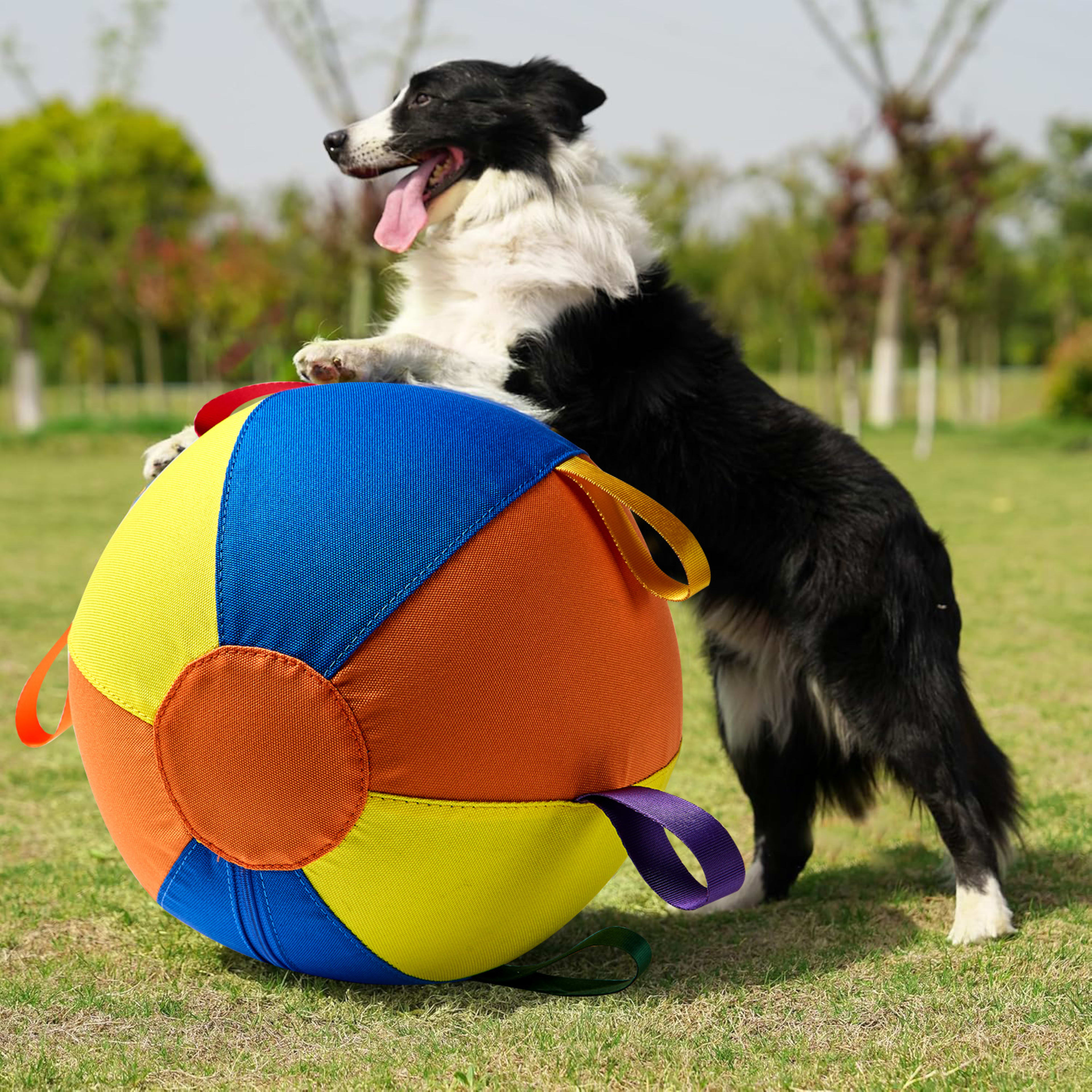 Complete Set Of Golden Retriever Chew-resistant Balls For Entertainment 6