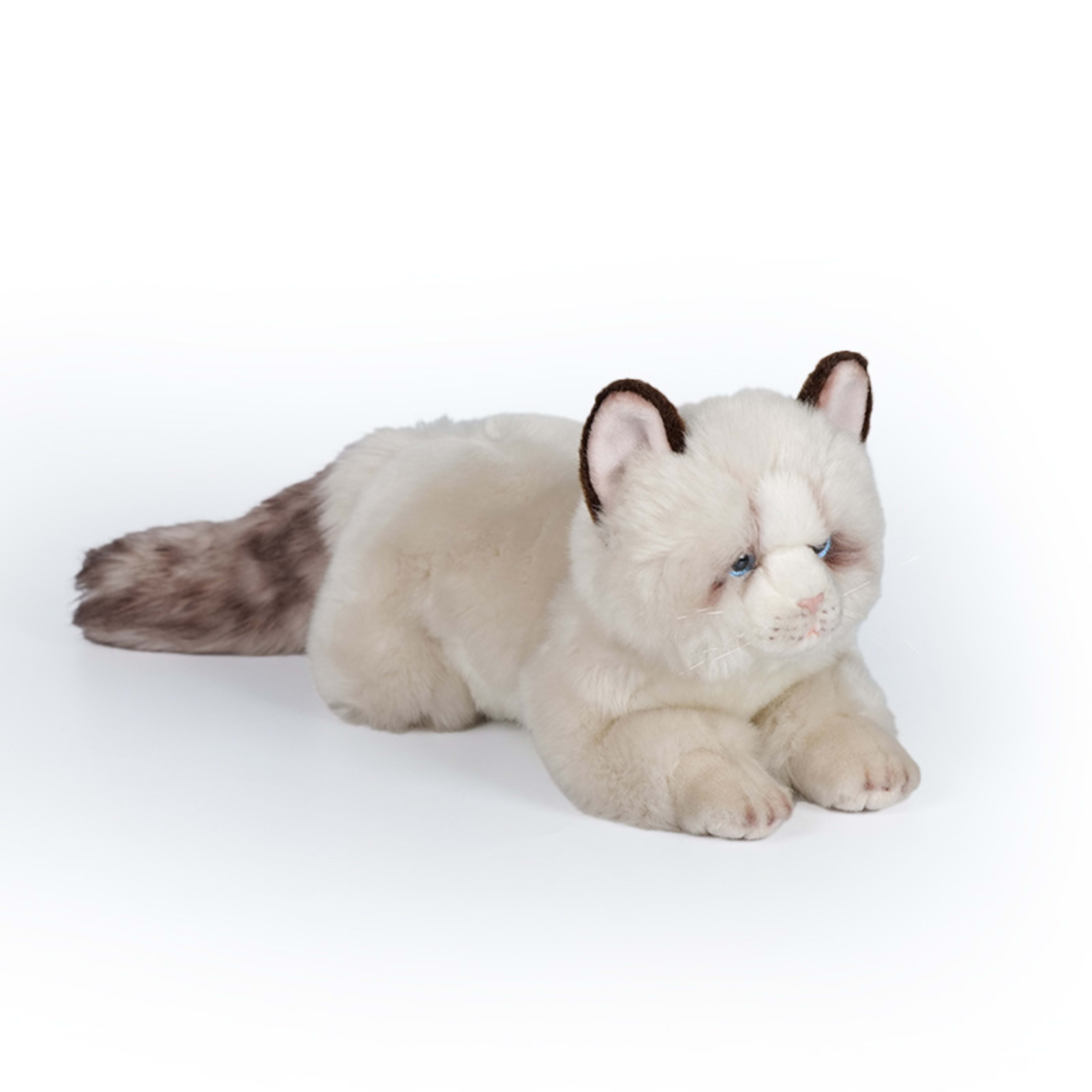 Amazon Cross-border Ultra-soft Cat Doll, Lifelike Plush Toy, Hot-selling New Cute Stuffed Cat, Plush Toy 5