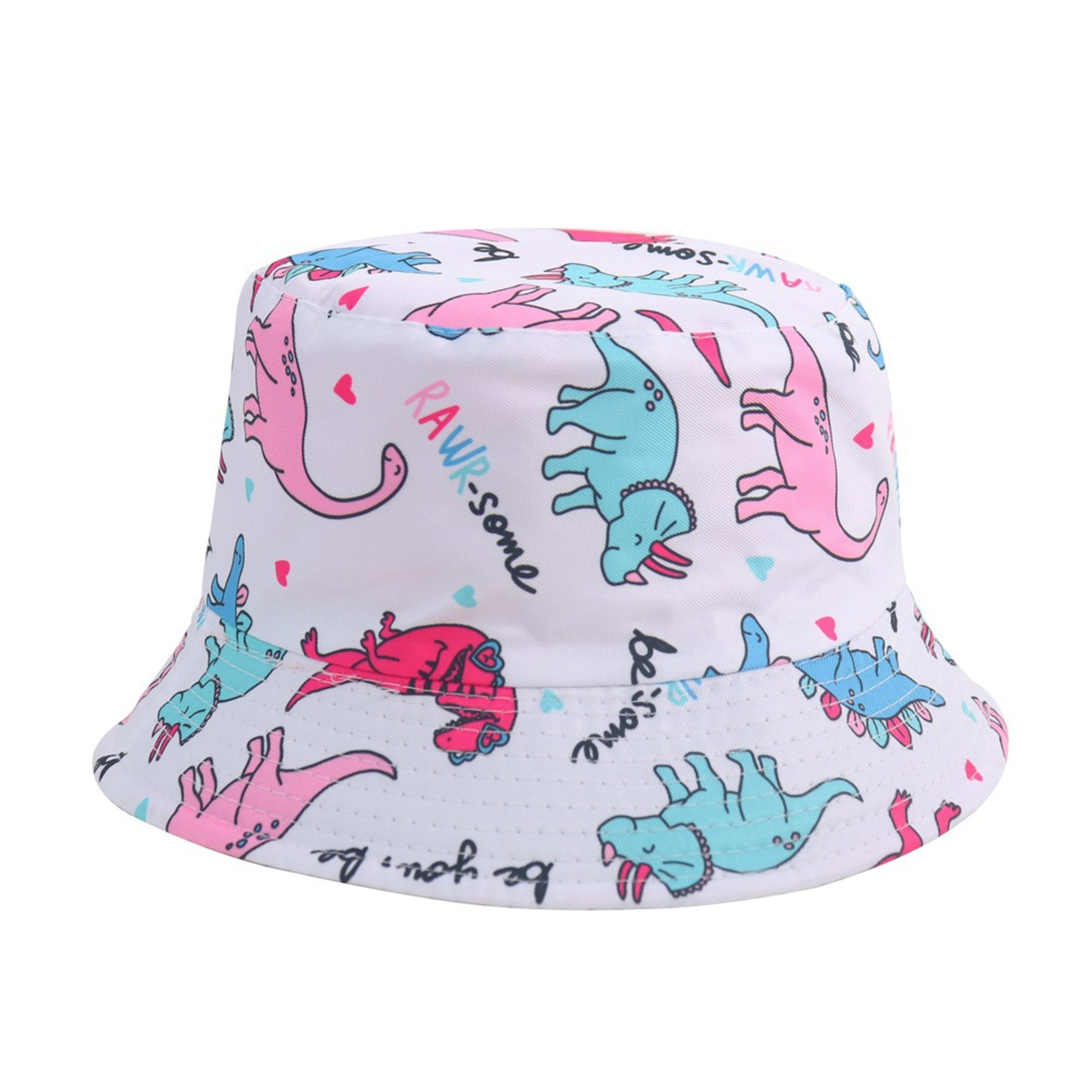Cross-border Childrens Cartoon Animal Double-Sided Hat 18