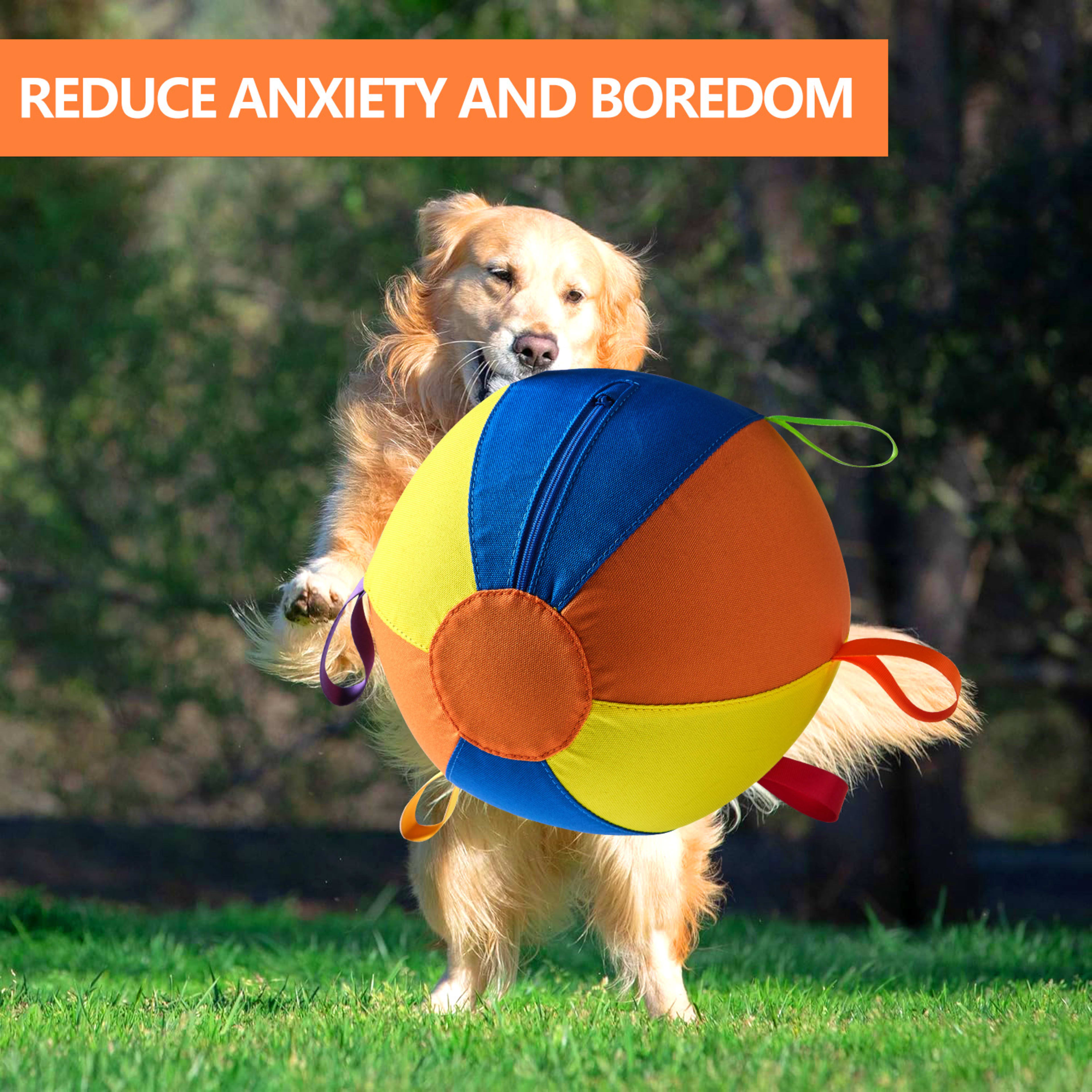 Complete Set Of Golden Retriever Chew-resistant Balls For Entertainment 4