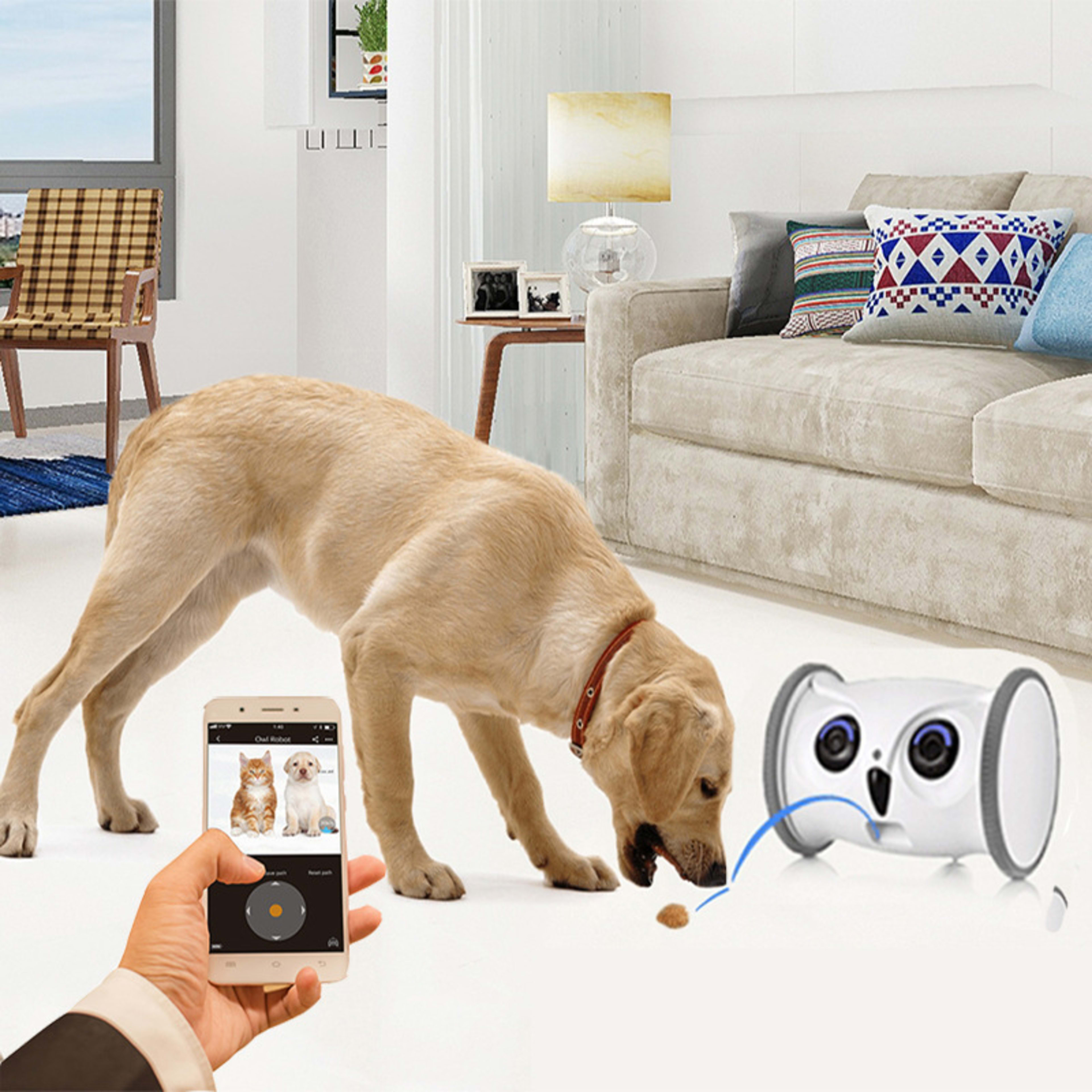 Owl-shaped Dog Electric Toy With Snacks 14