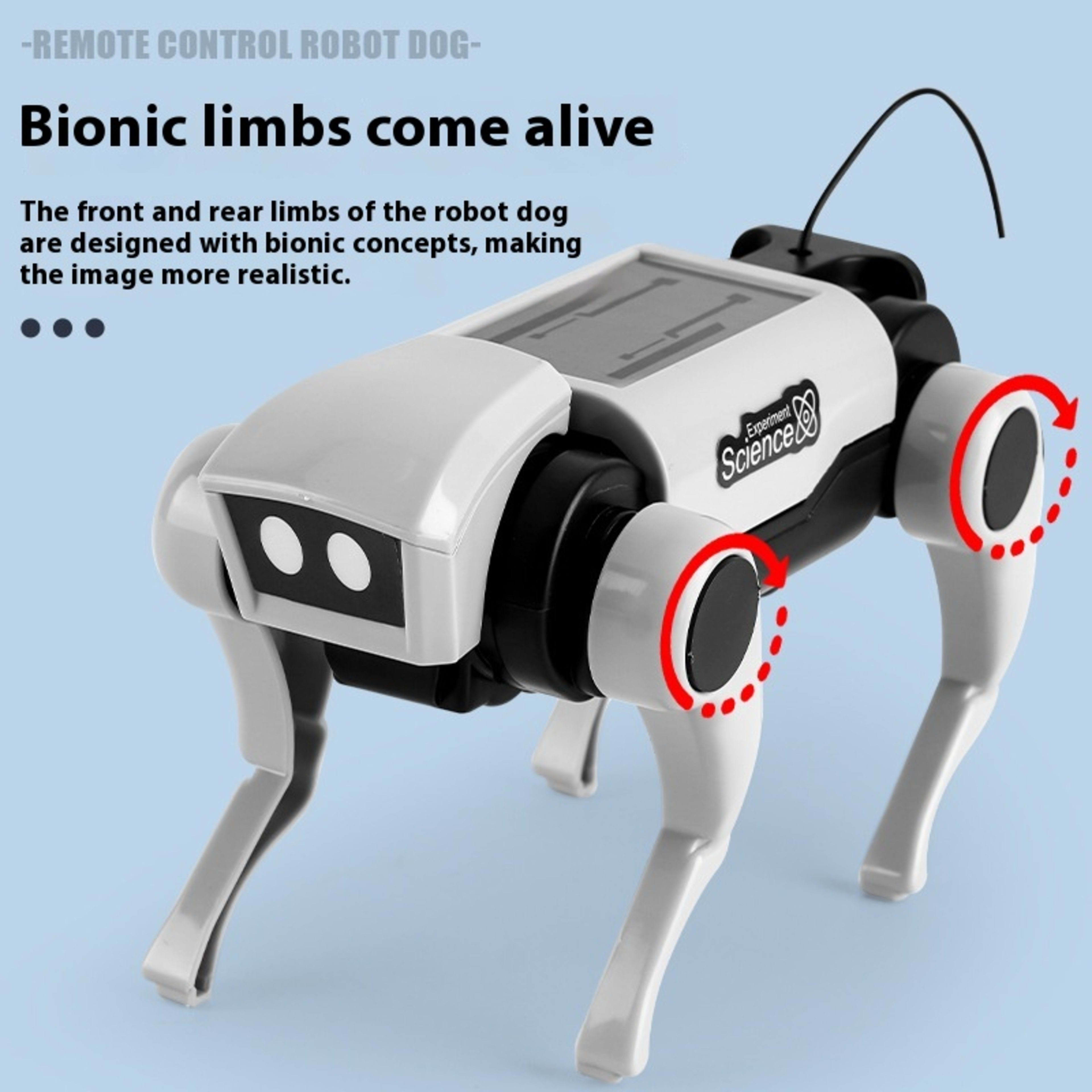 Remote Control Mechanical Dog And Cat 2 In1 Assembled Toy 4