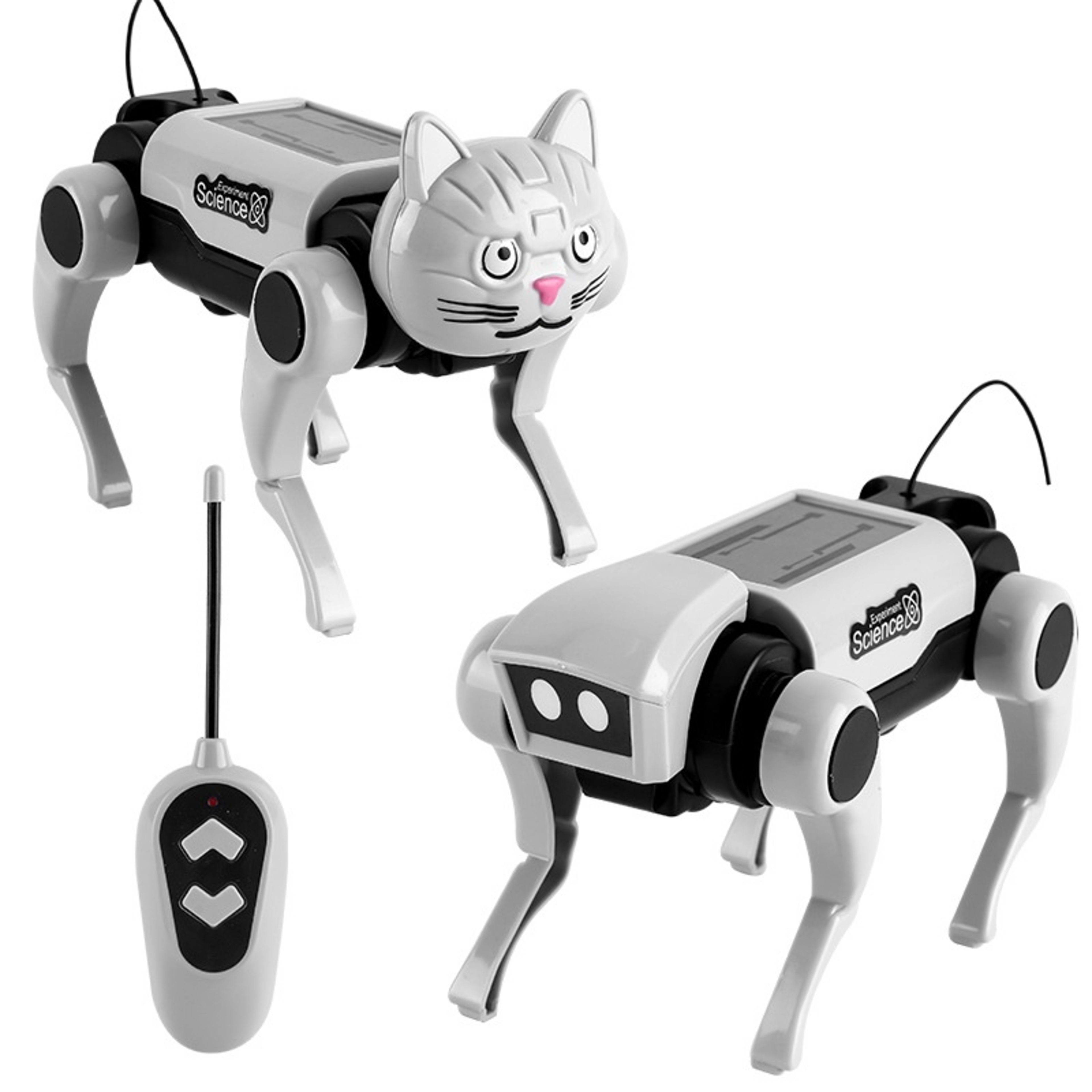 Remote Control Mechanical Dog And Cat 2 In1 Assembled Toy 2