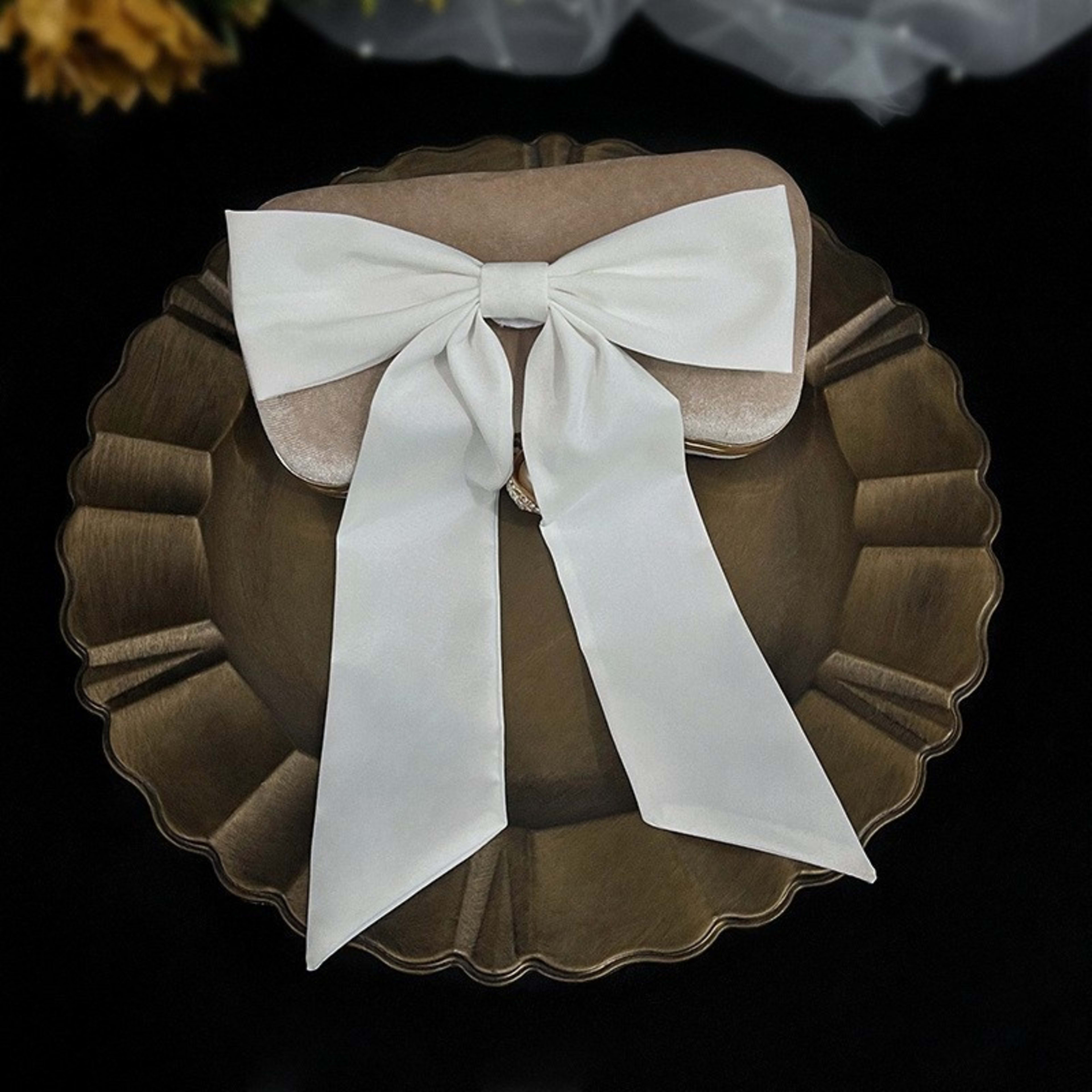 Bow Veil Super Fairy Wedding Trip Shoot 9