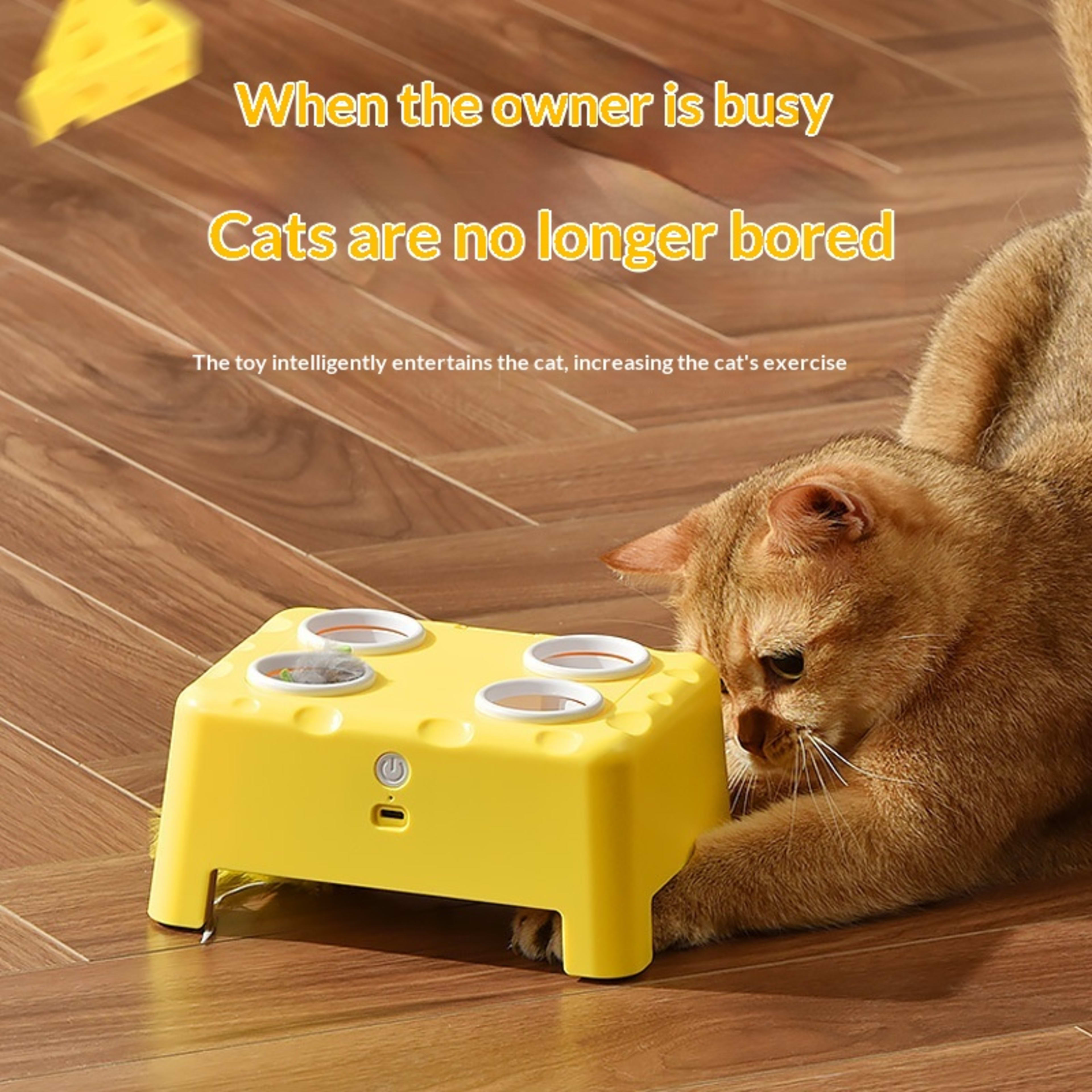 3-in-1 Cheese House Smart Cat Toy 1