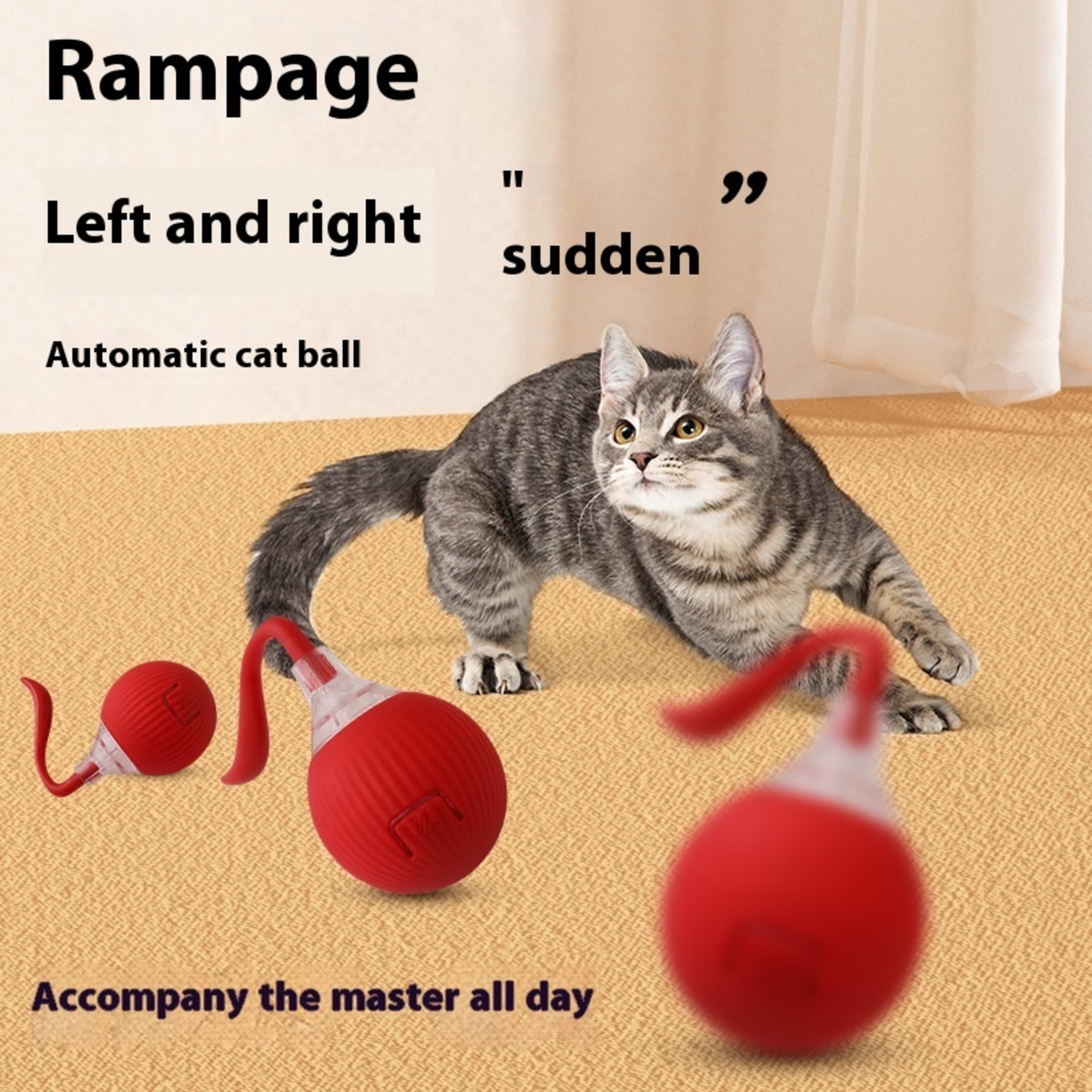 Interactive Cat Toy Ball Super Drive Cat Rolling Ball 4