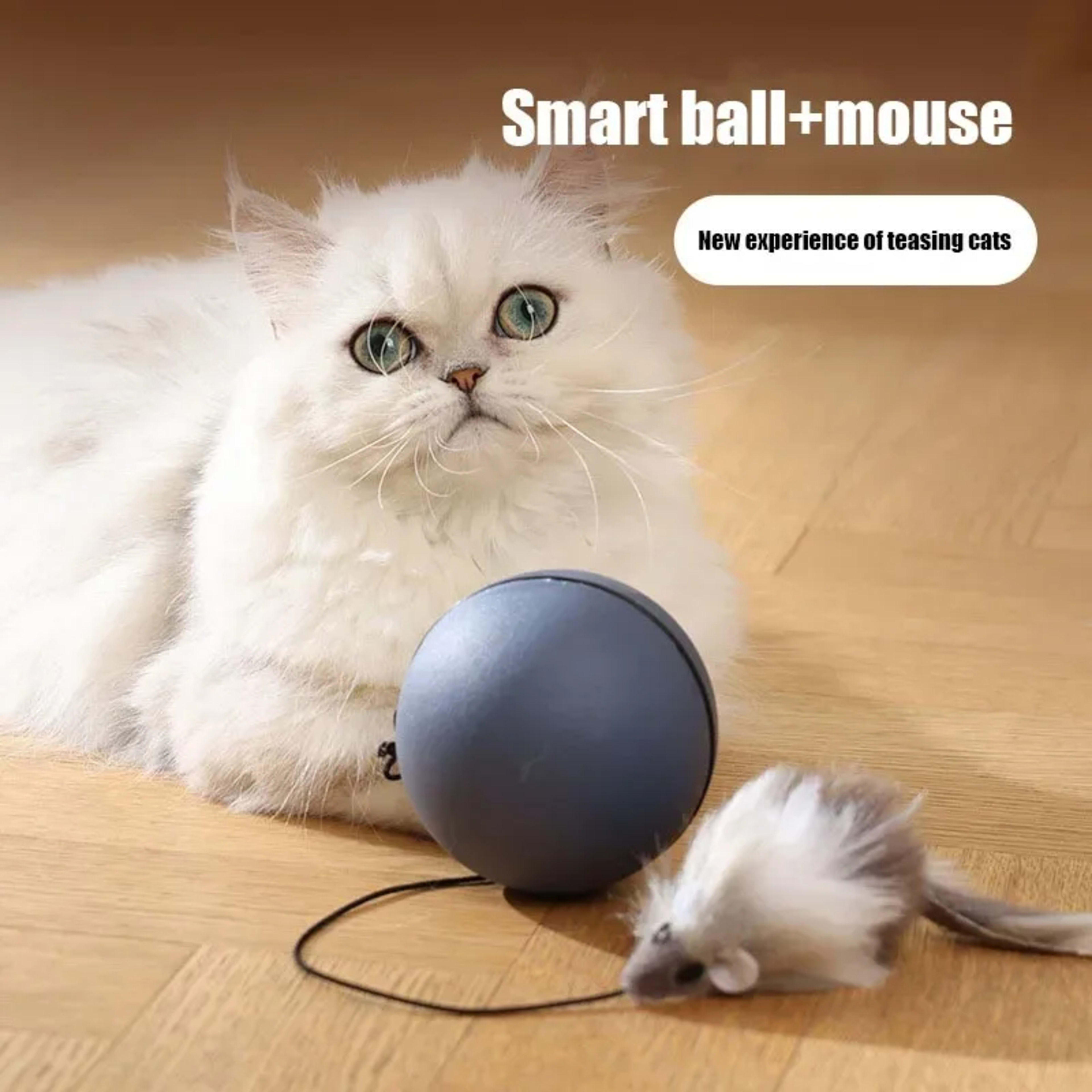 Cat Toys Mouse Teaser Ball Funny Moving Toy For Pets Cat Dog Electric 2