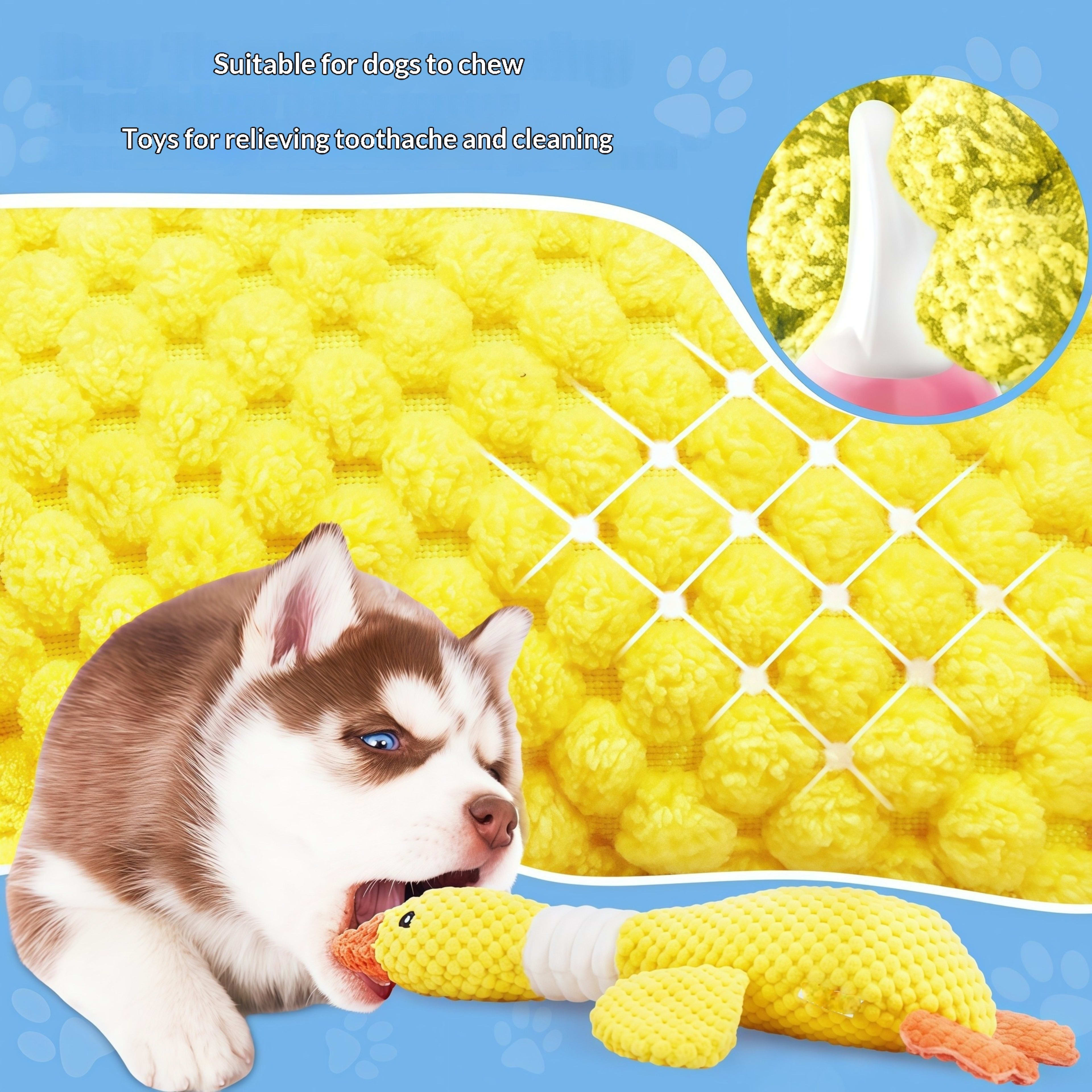 Dog Pet Toy Two-Tone Color 1