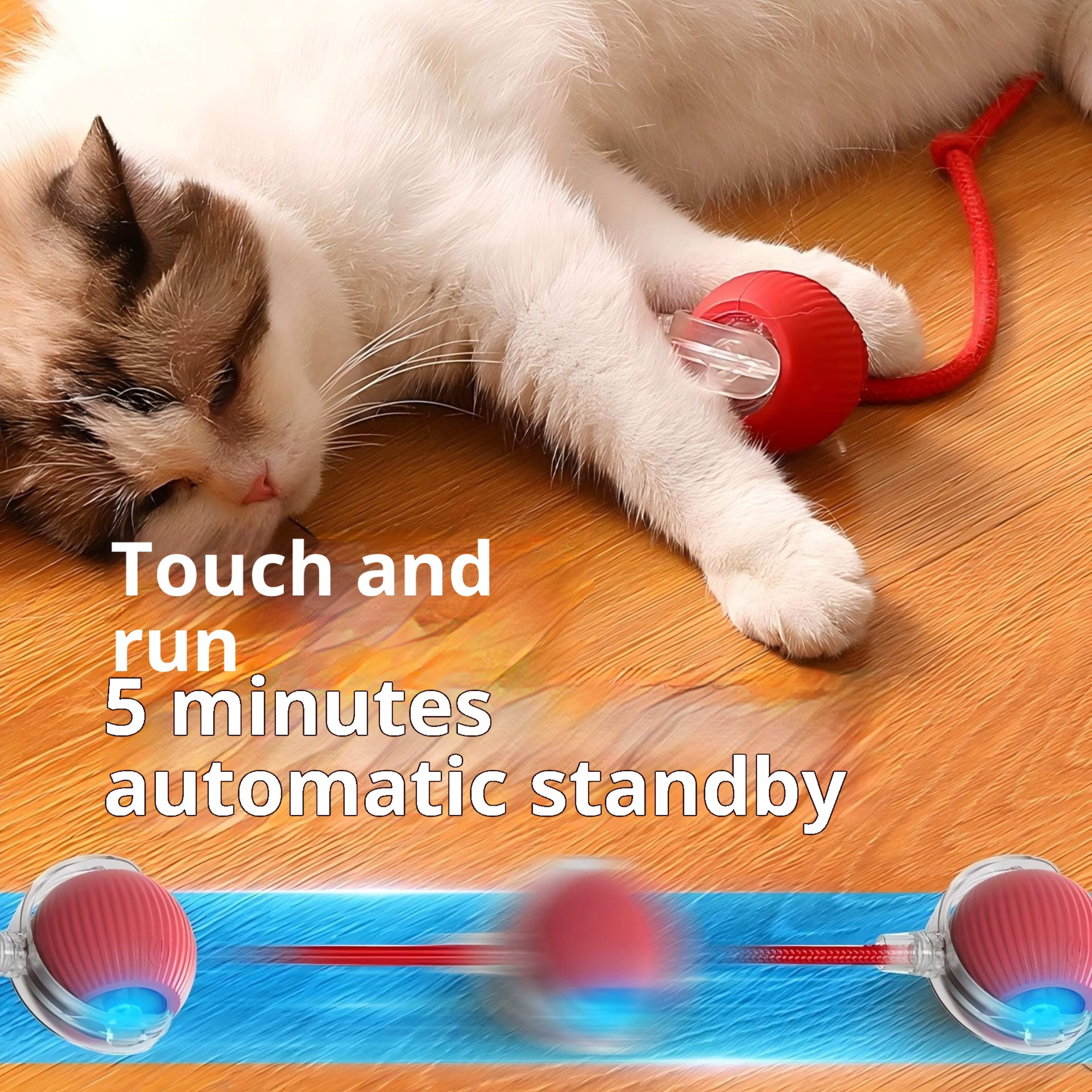 Self-amusing Boredom-relief Gadget Pet Supplies Dog 4