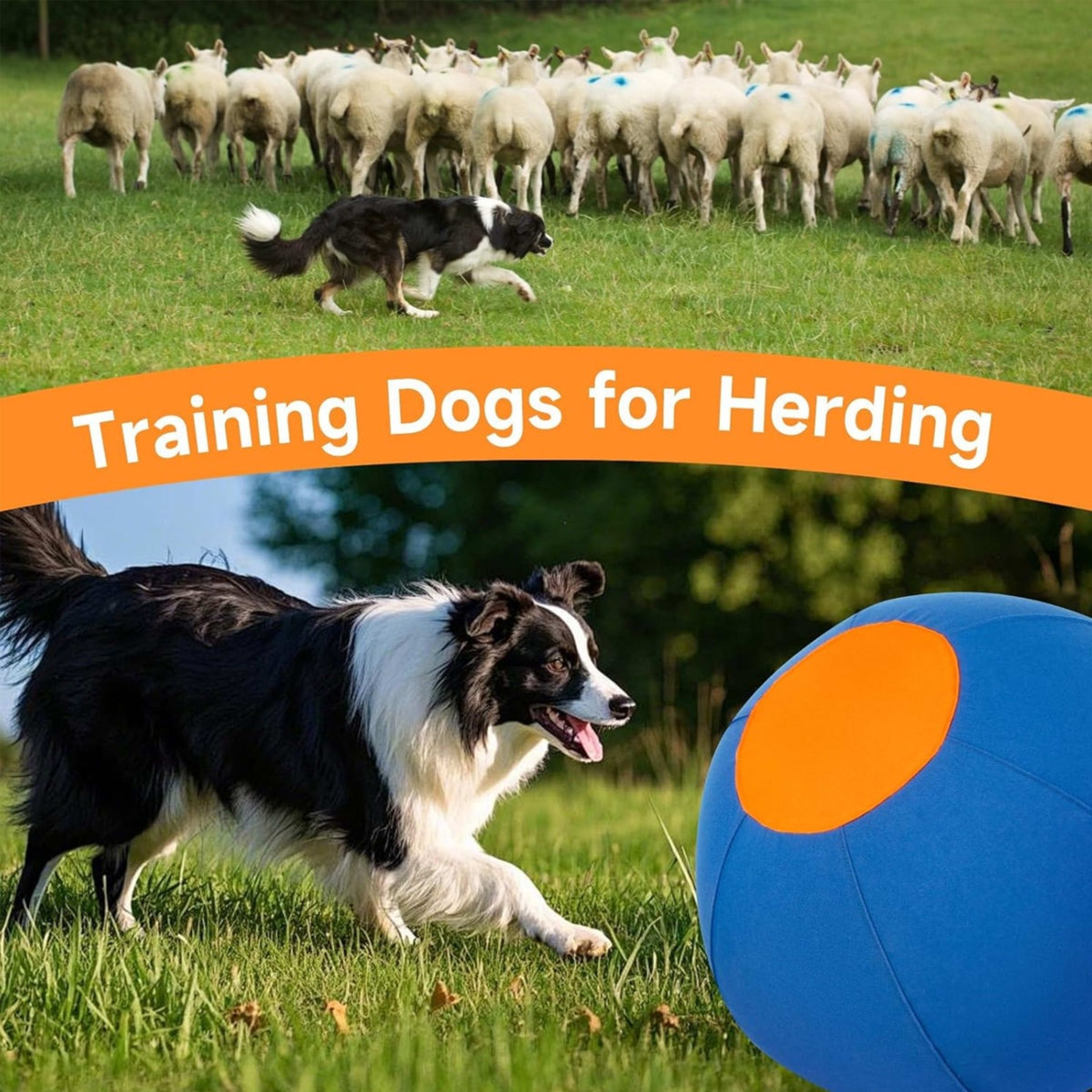Outdoor Pet Toy Training Inflatable Self-Throwing Ball 2