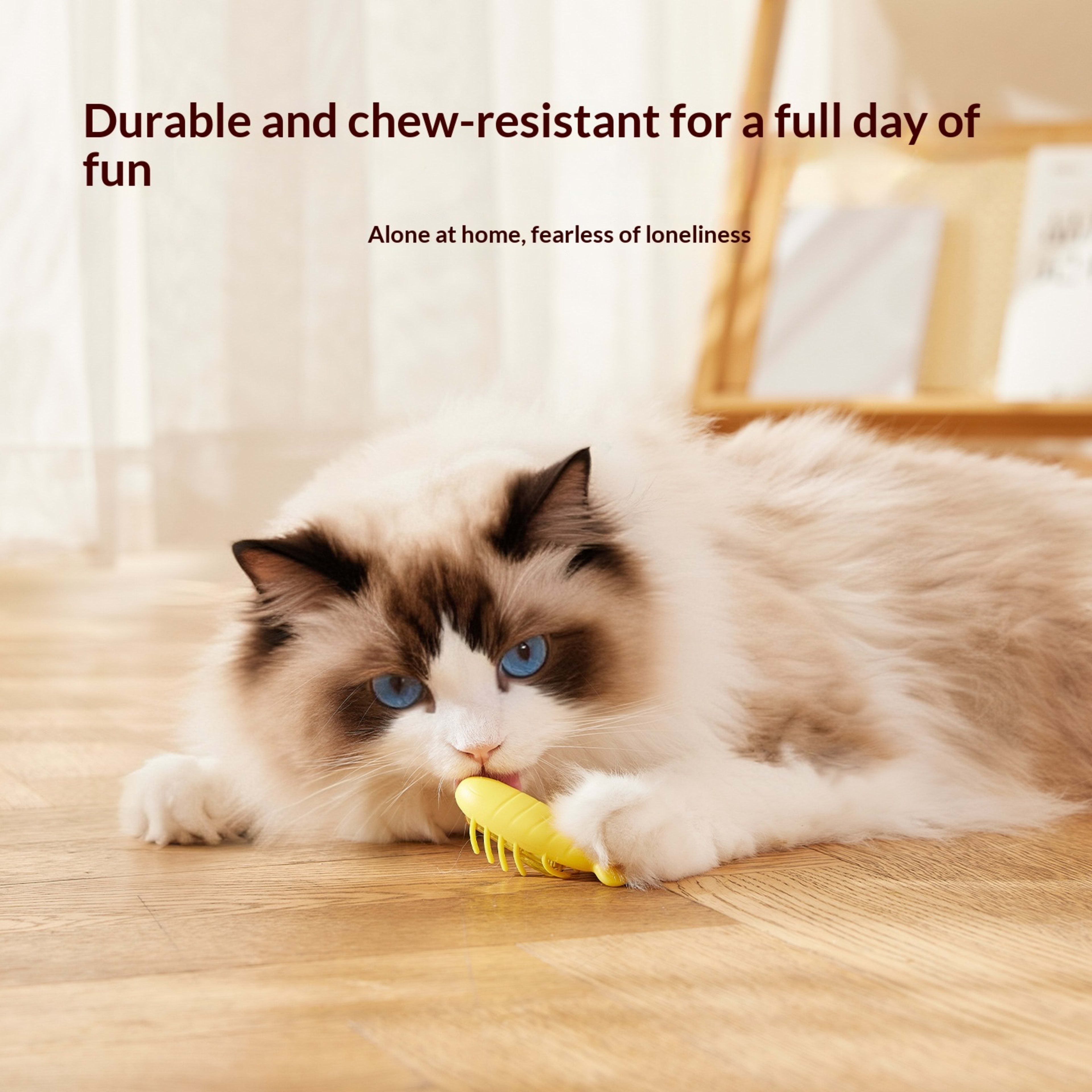 Cat Toy Electric Little Bug Automatic Cat Teaser 3