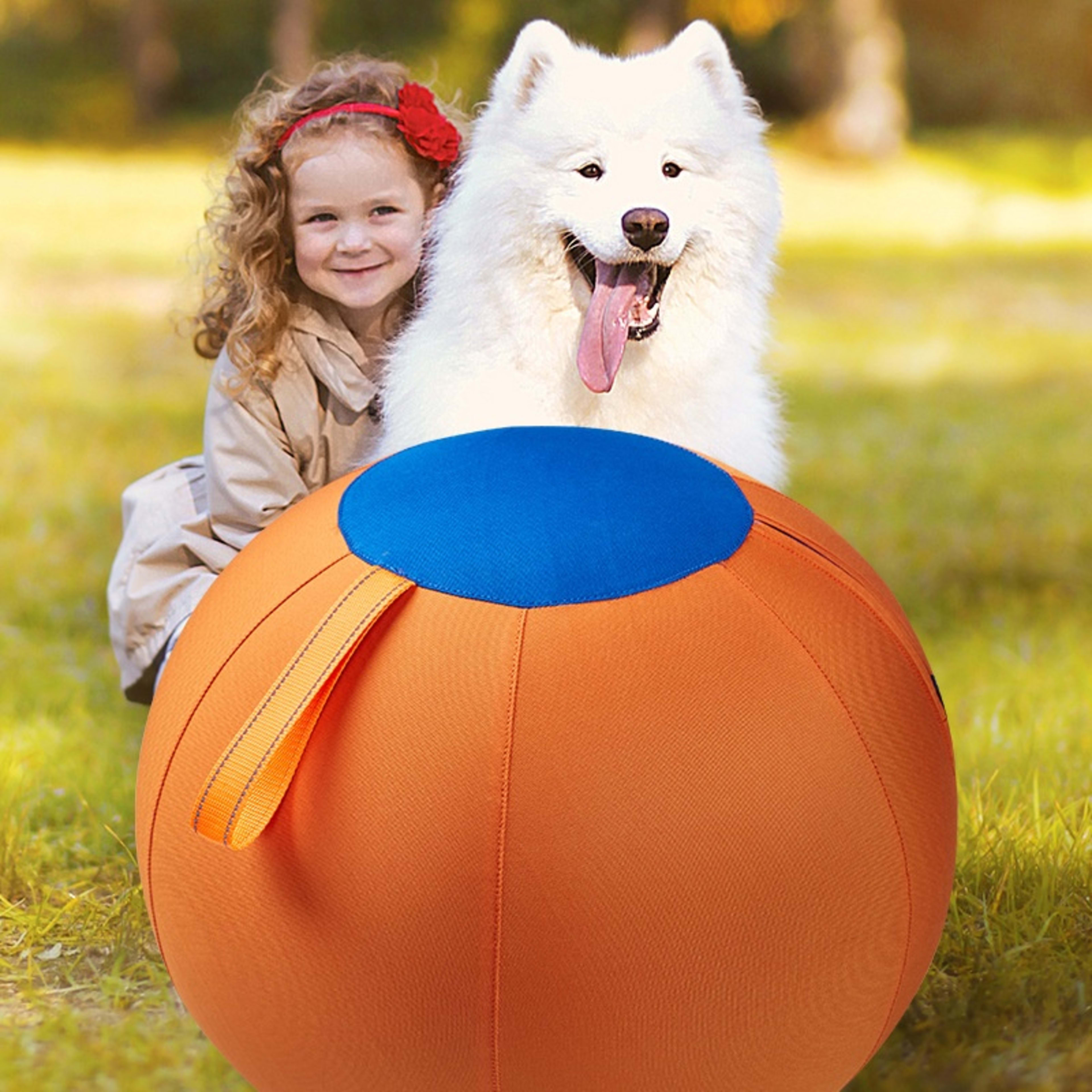 Complete Set Of Golden Retriever Chew-resistant Balls For Entertainment 2