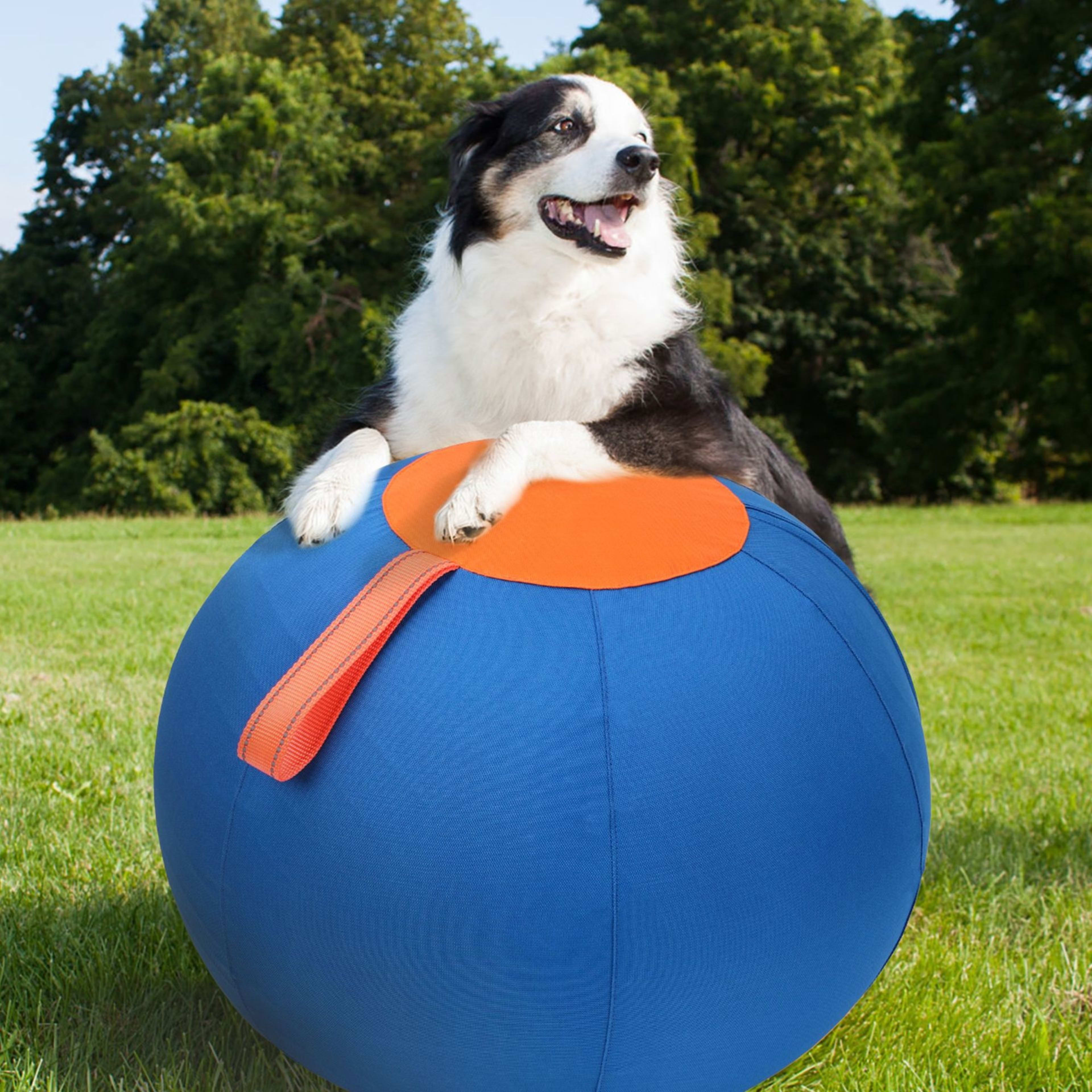 Complete Set Of Golden Retriever Chew-resistant Balls For Entertainment 3