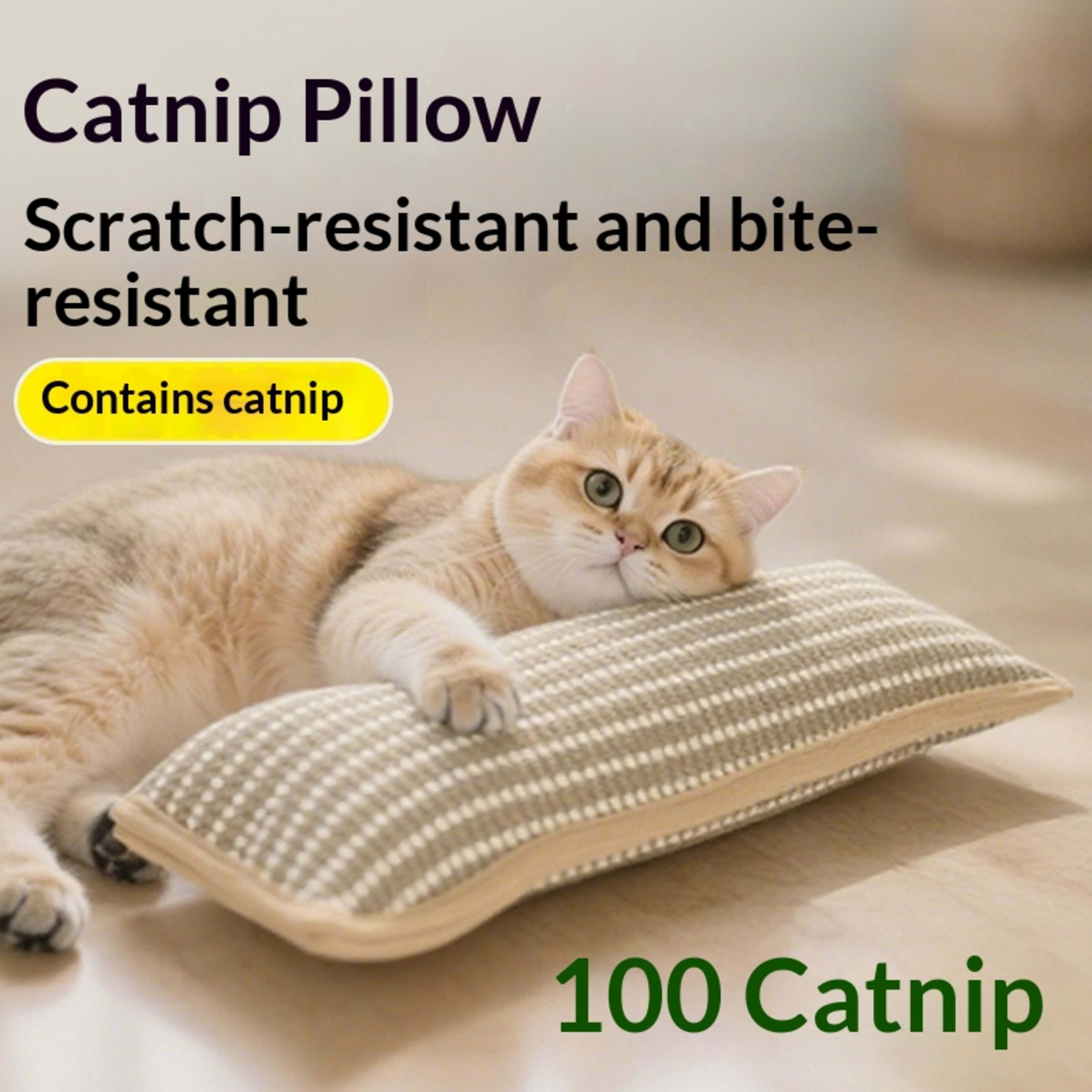 Cat Toy Catnip Pillow Scratching Post 2
