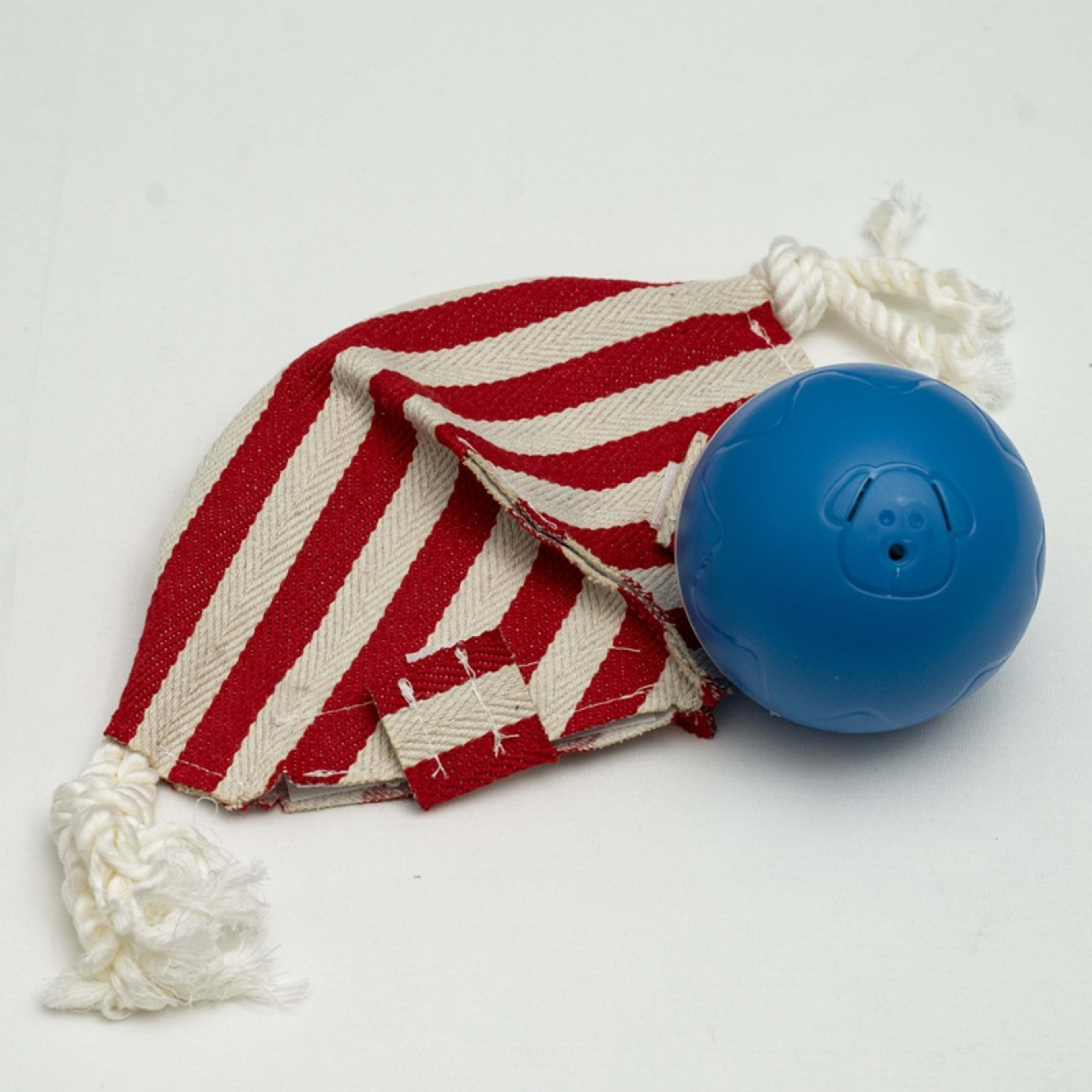 Self-Entertaining Ball Unbite Electric Remote-Controlled Jumping Dog Toy