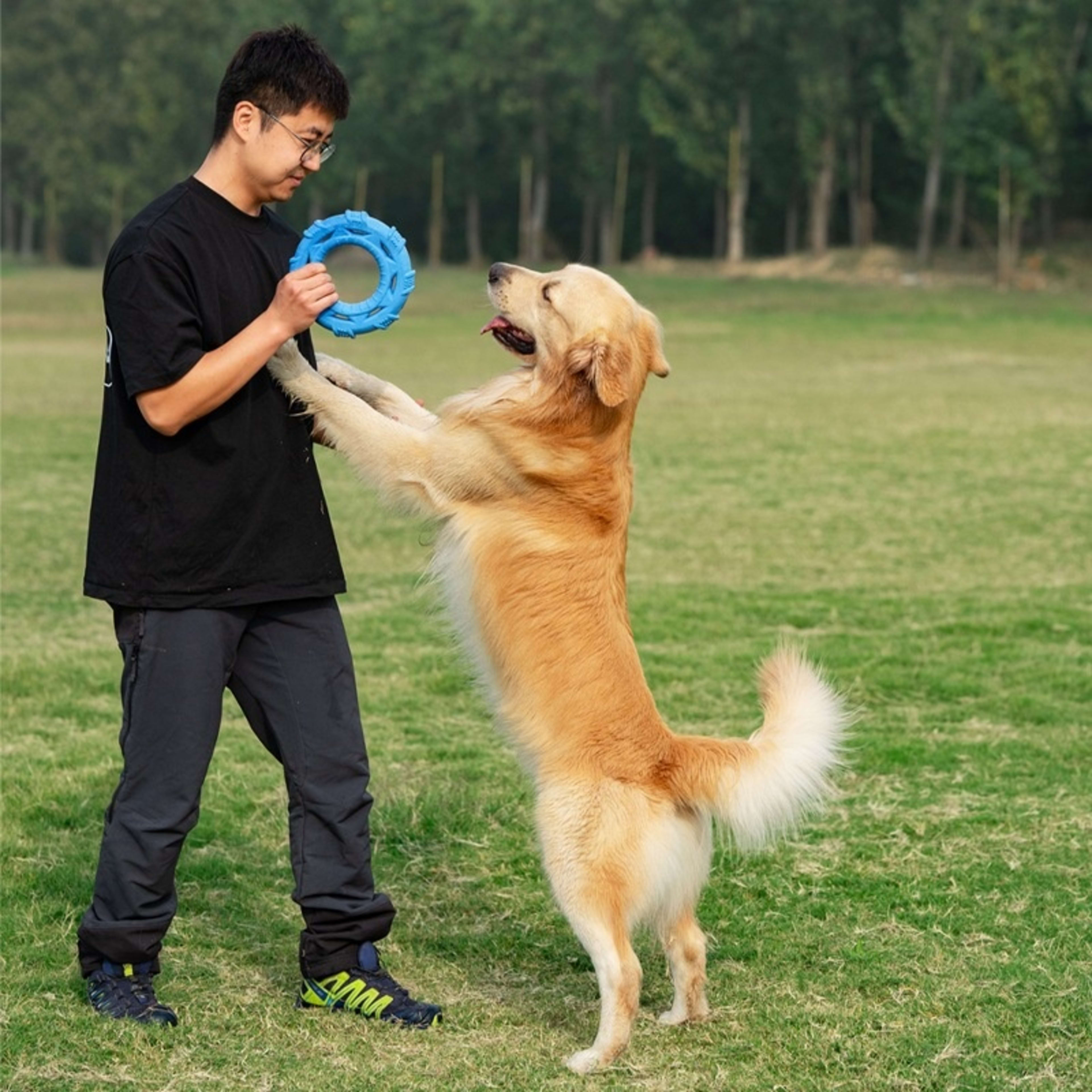Lightweight And Soft TPR Foam Dog Toy 7