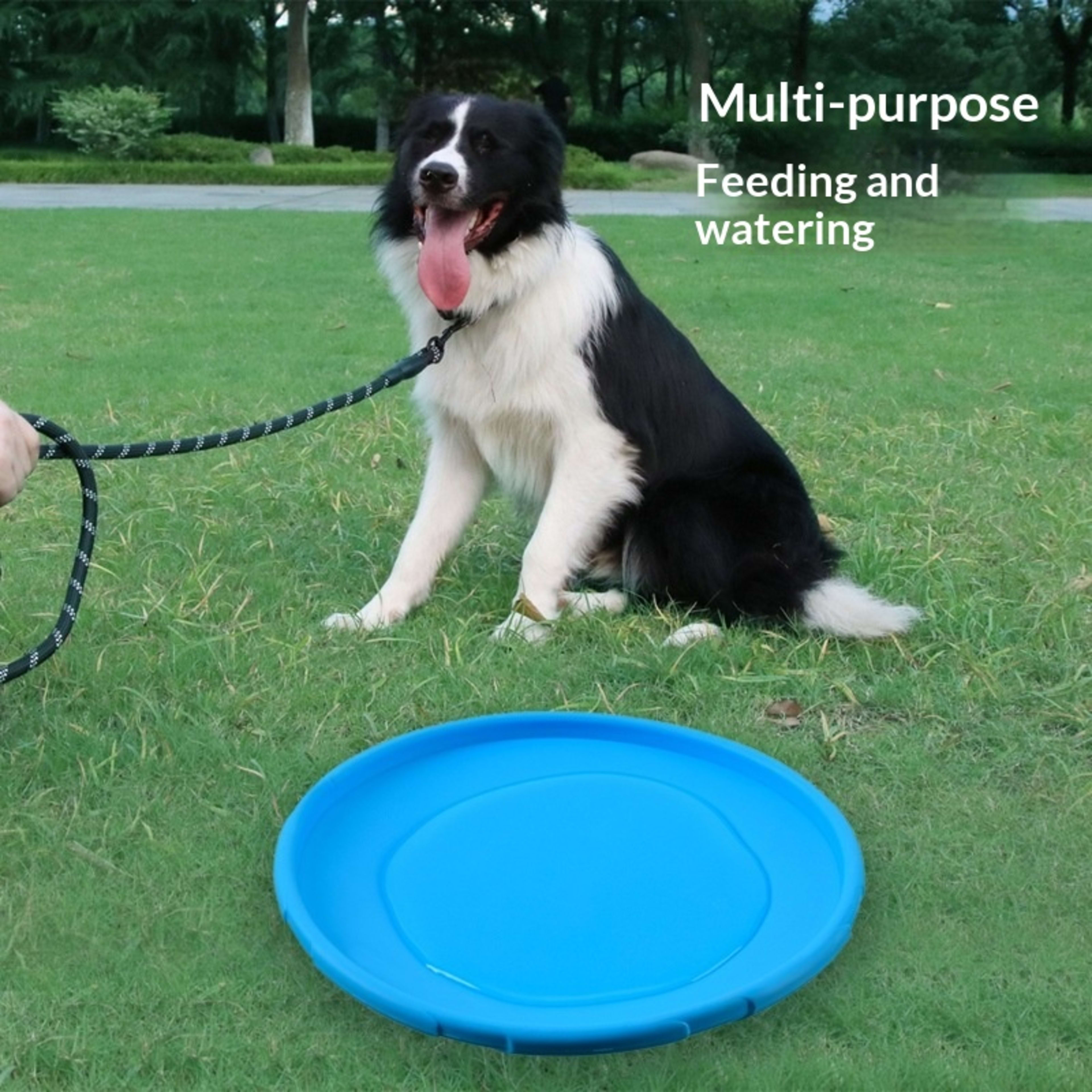 Pet Dog Bite-Resistant Training Flying Disc Fetch Toy 17