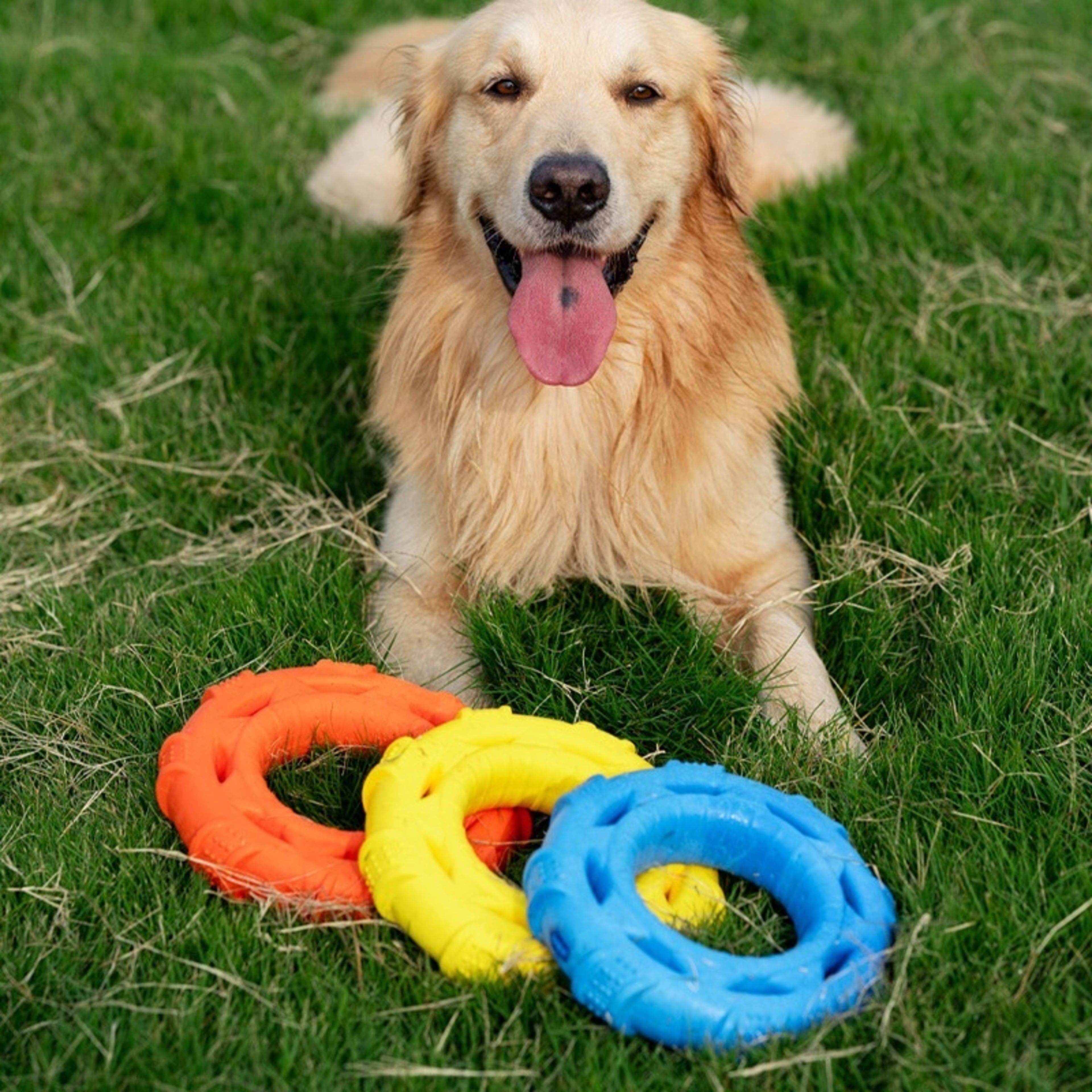 Lightweight And Soft TPR Foam Dog Toy 3