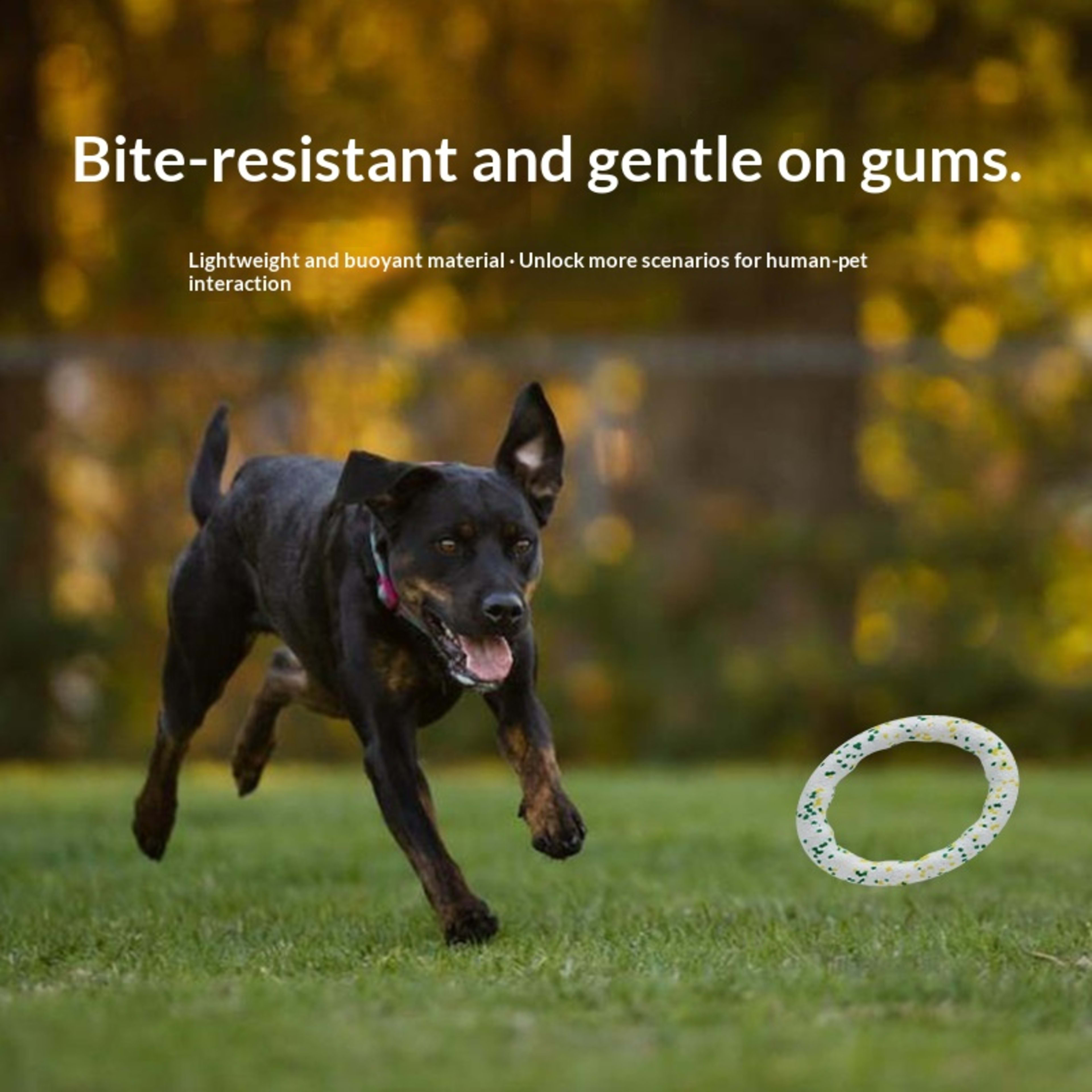 Pet Pull-tab Dog Made Of ETPU Popcorn Material 5