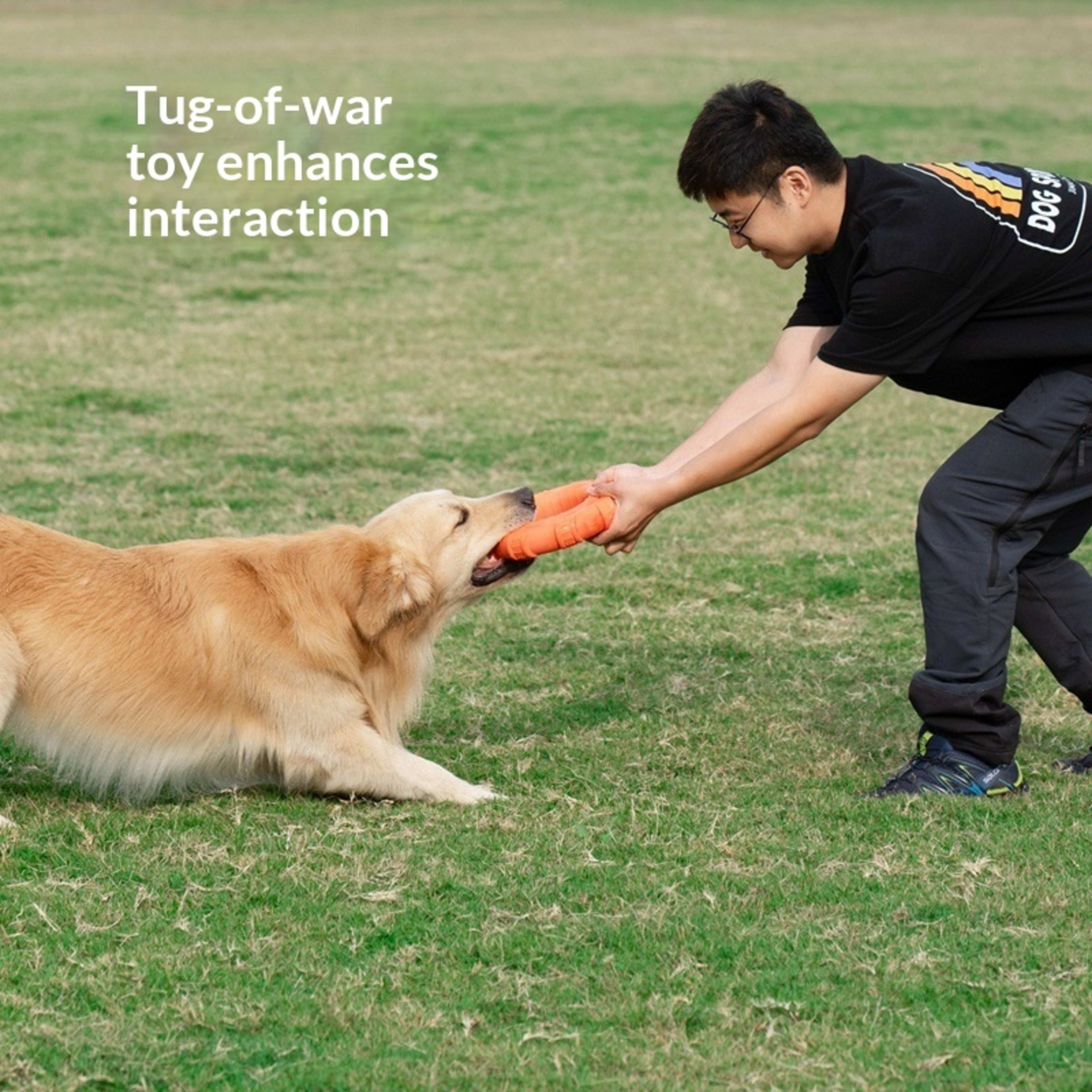 Lightweight And Soft TPR Foam Dog Toy 5