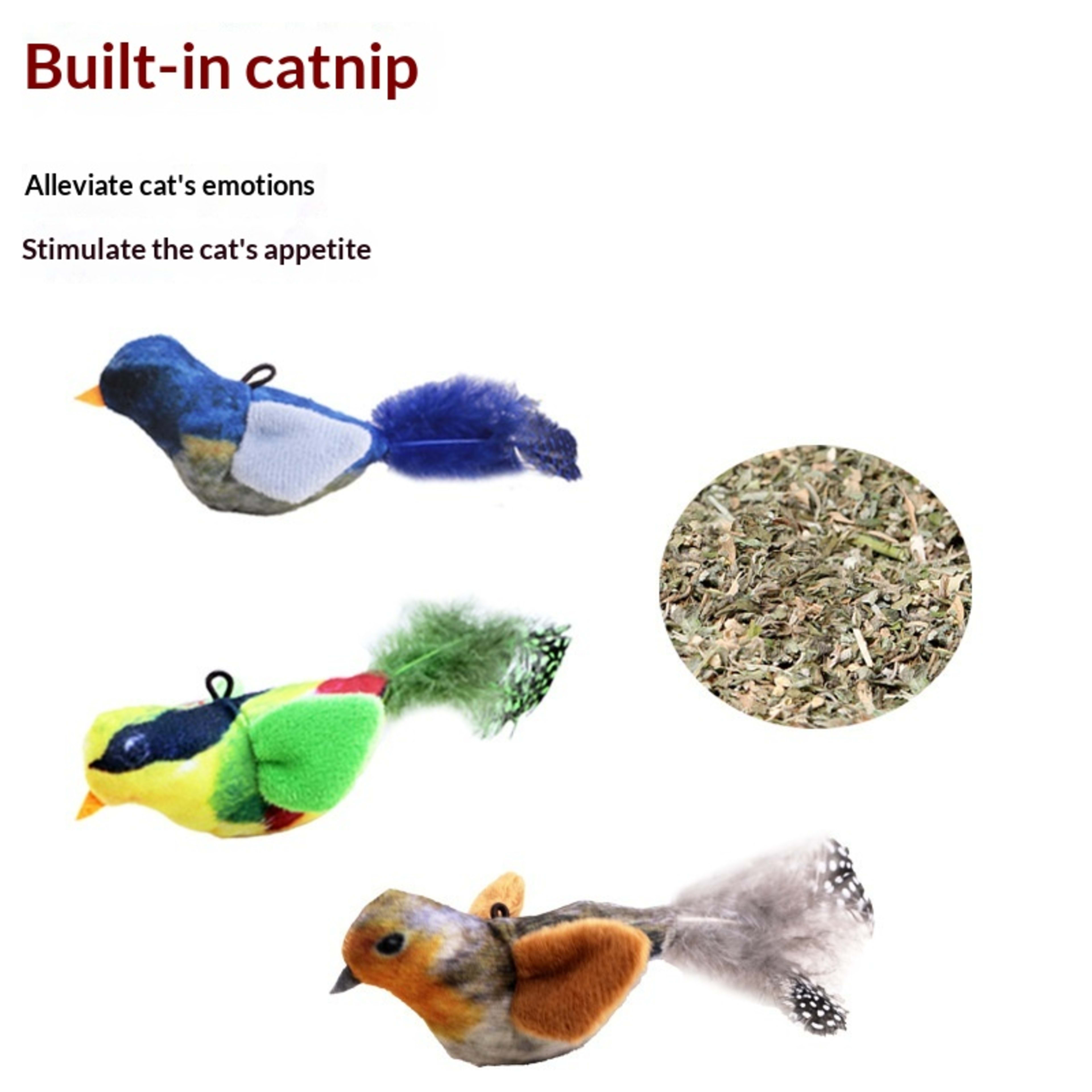 Squeaky Bird Bite-resistant Cat Toy 4