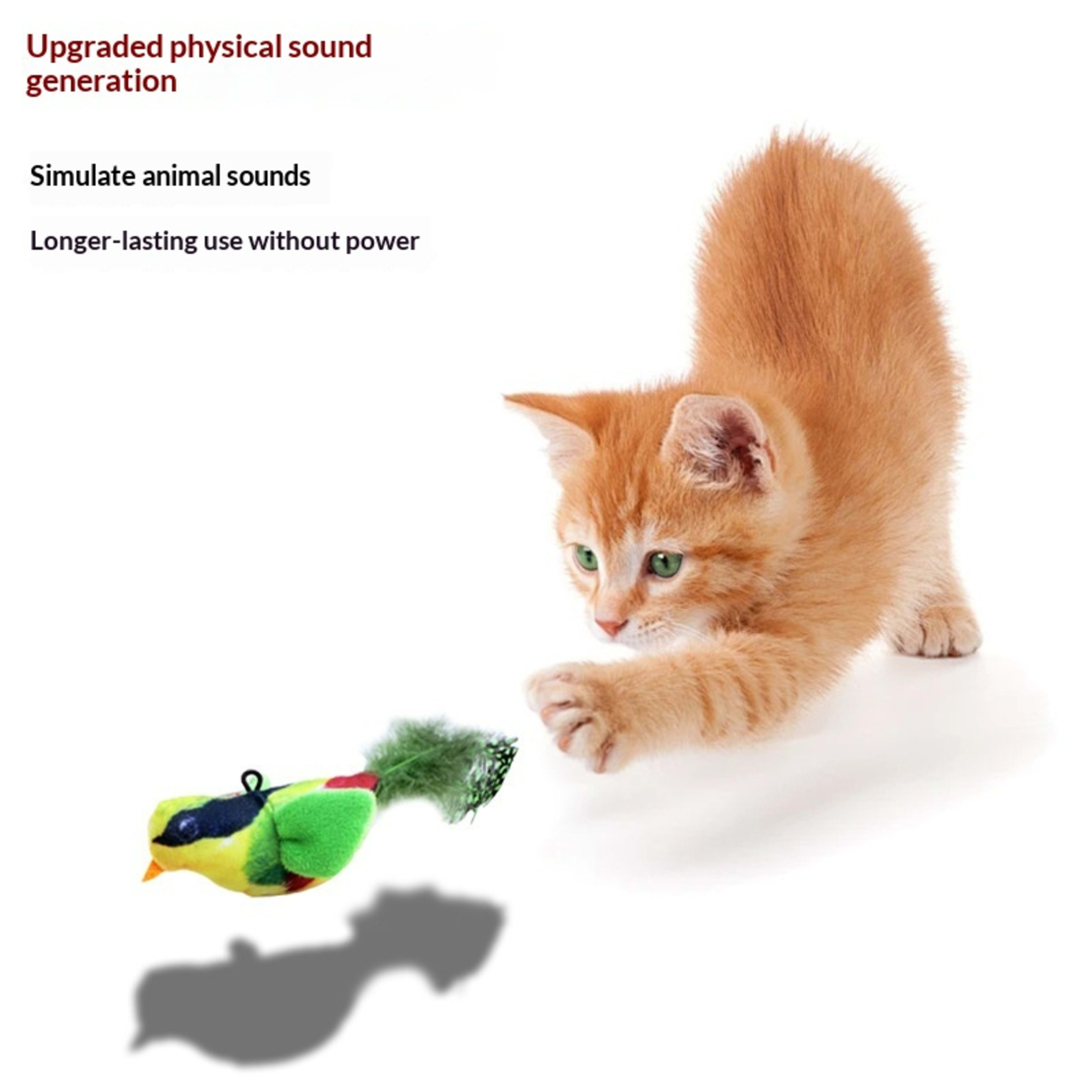 Squeaky Bird Bite-resistant Cat Toy 3