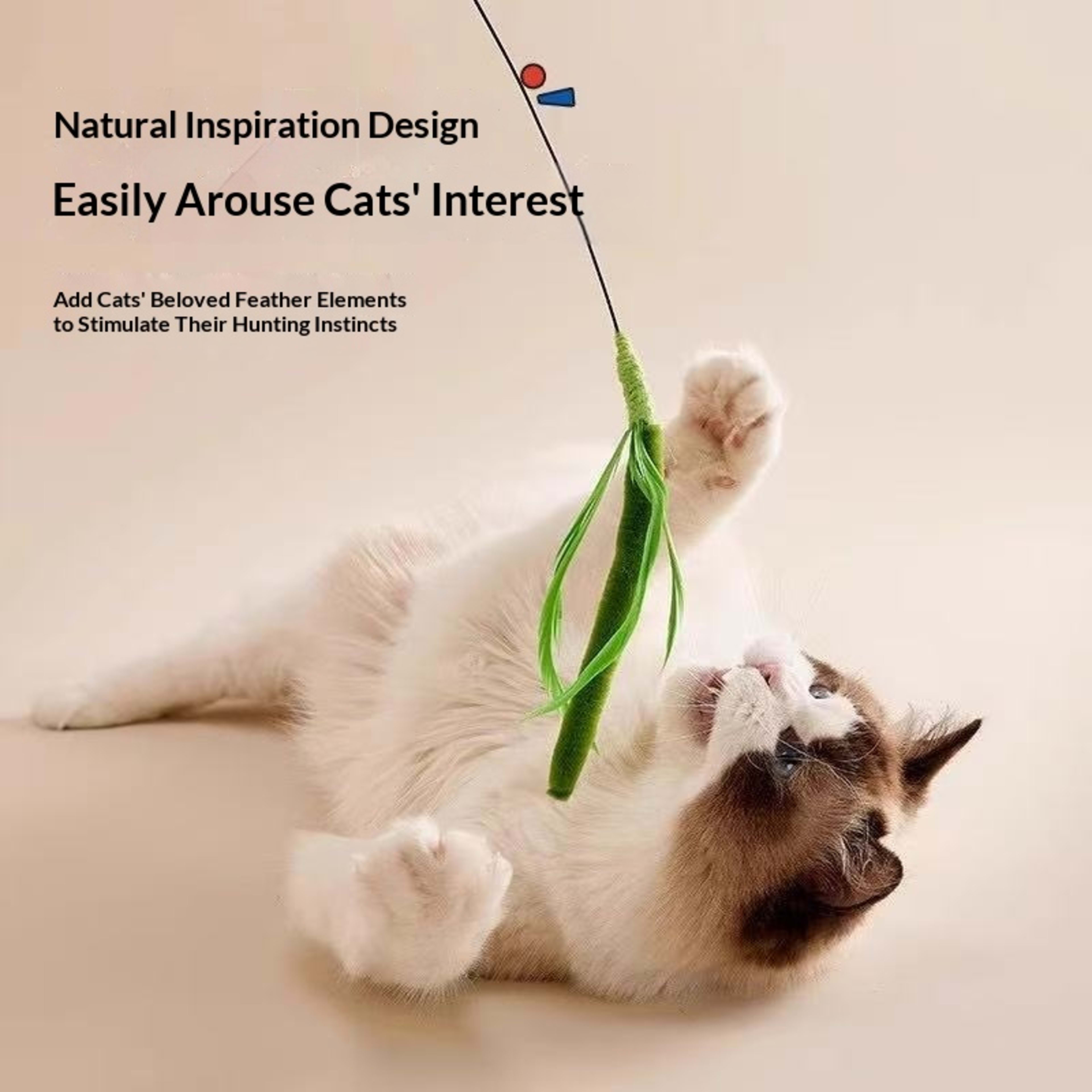 Dogtail Grass Teaser Wand Long-handled Cat Toy Pet Supplies 5
