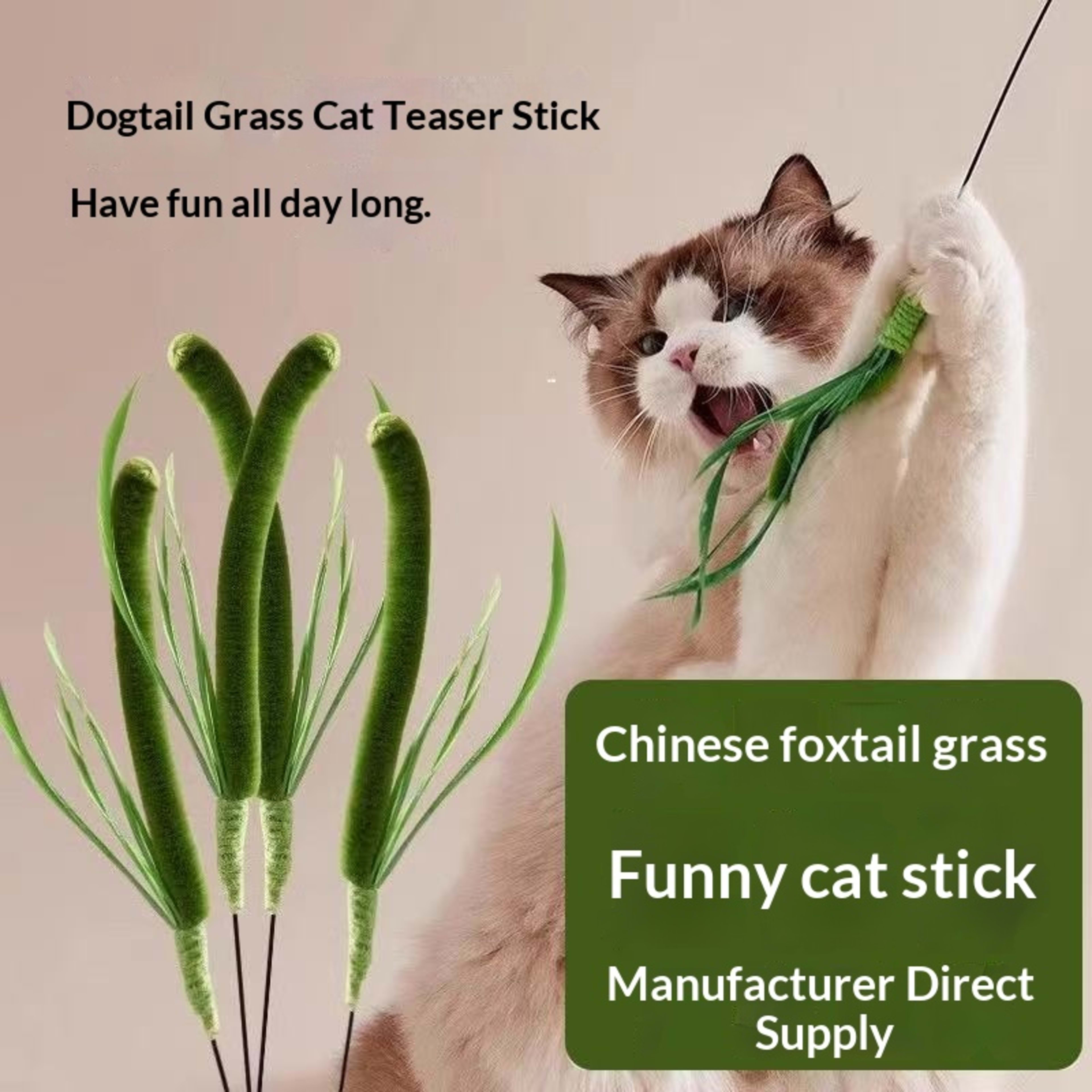 Dogtail Grass Teaser Wand Long-handled Cat Toy Pet Supplies 6