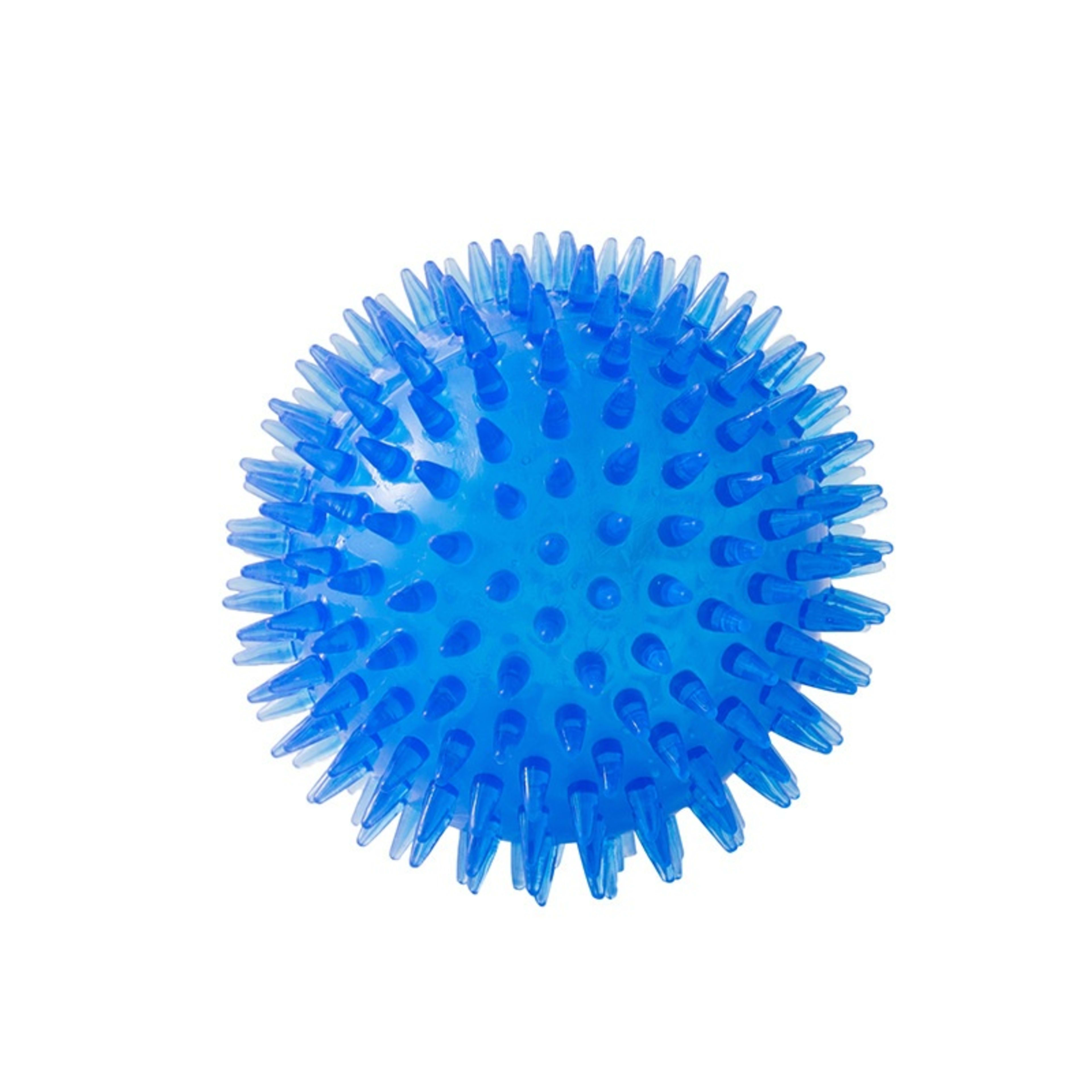 Cross-border Pet Dog Toy Ball 10