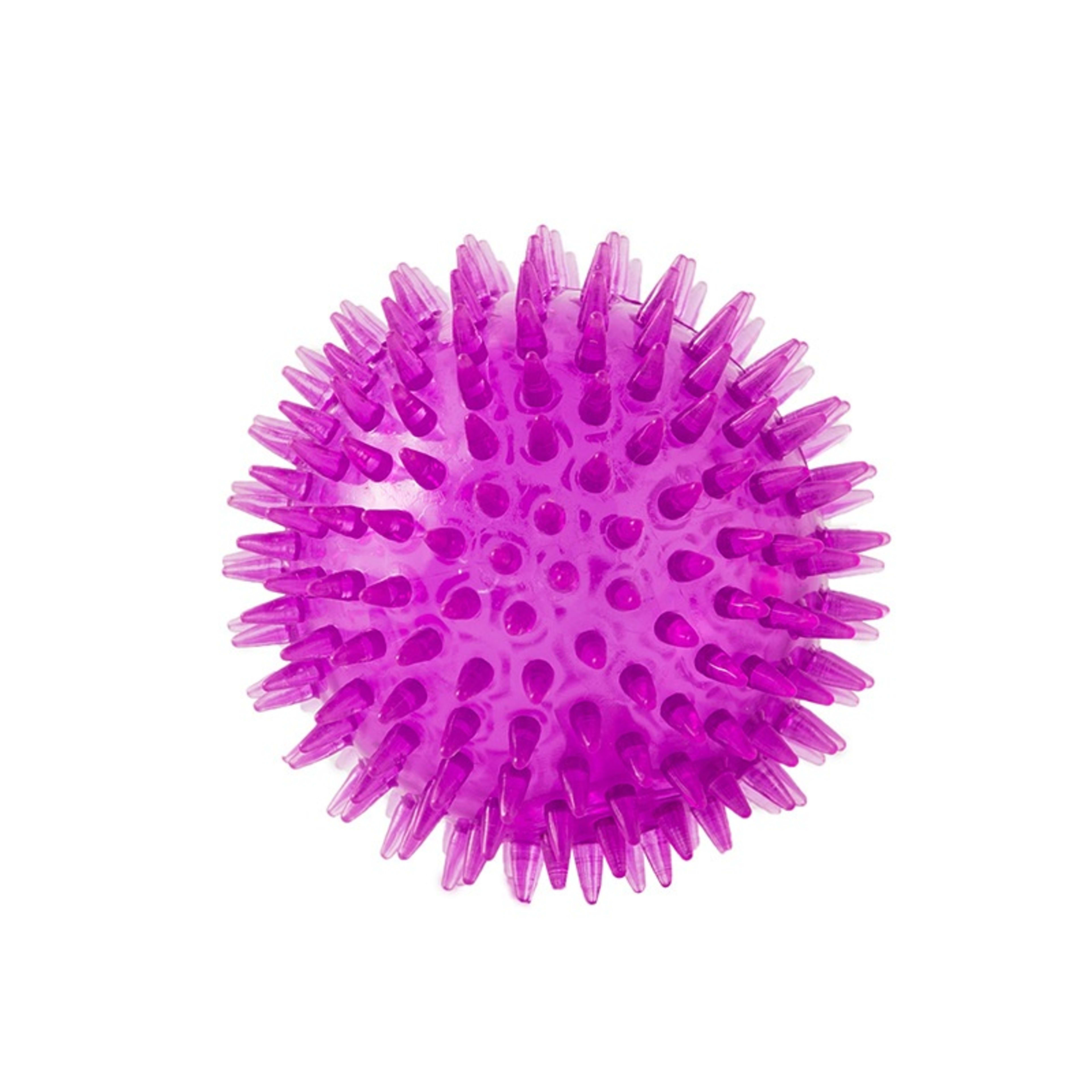 Cross-border Pet Dog Toy Ball 6