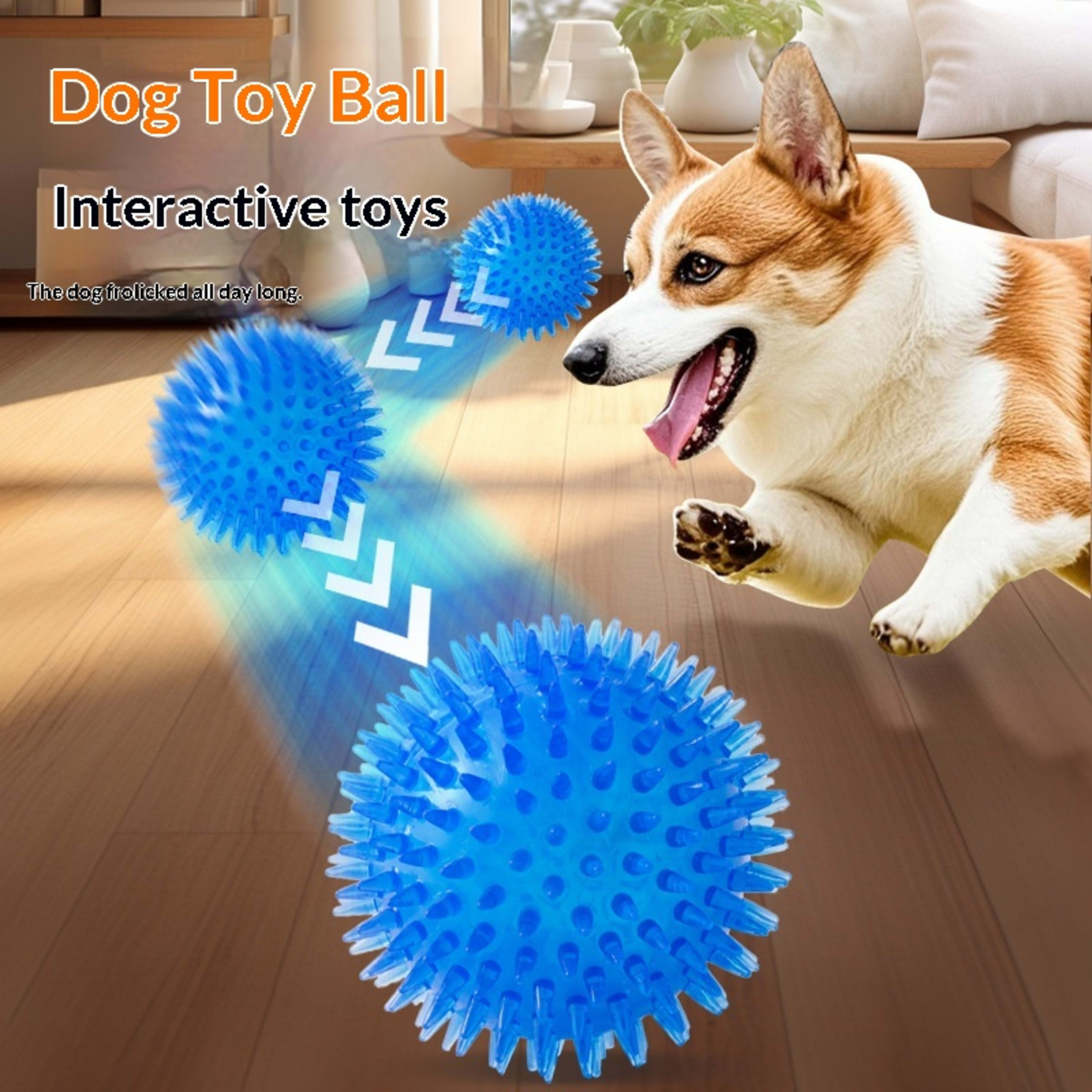 Cross-border Pet Dog Toy Ball 4