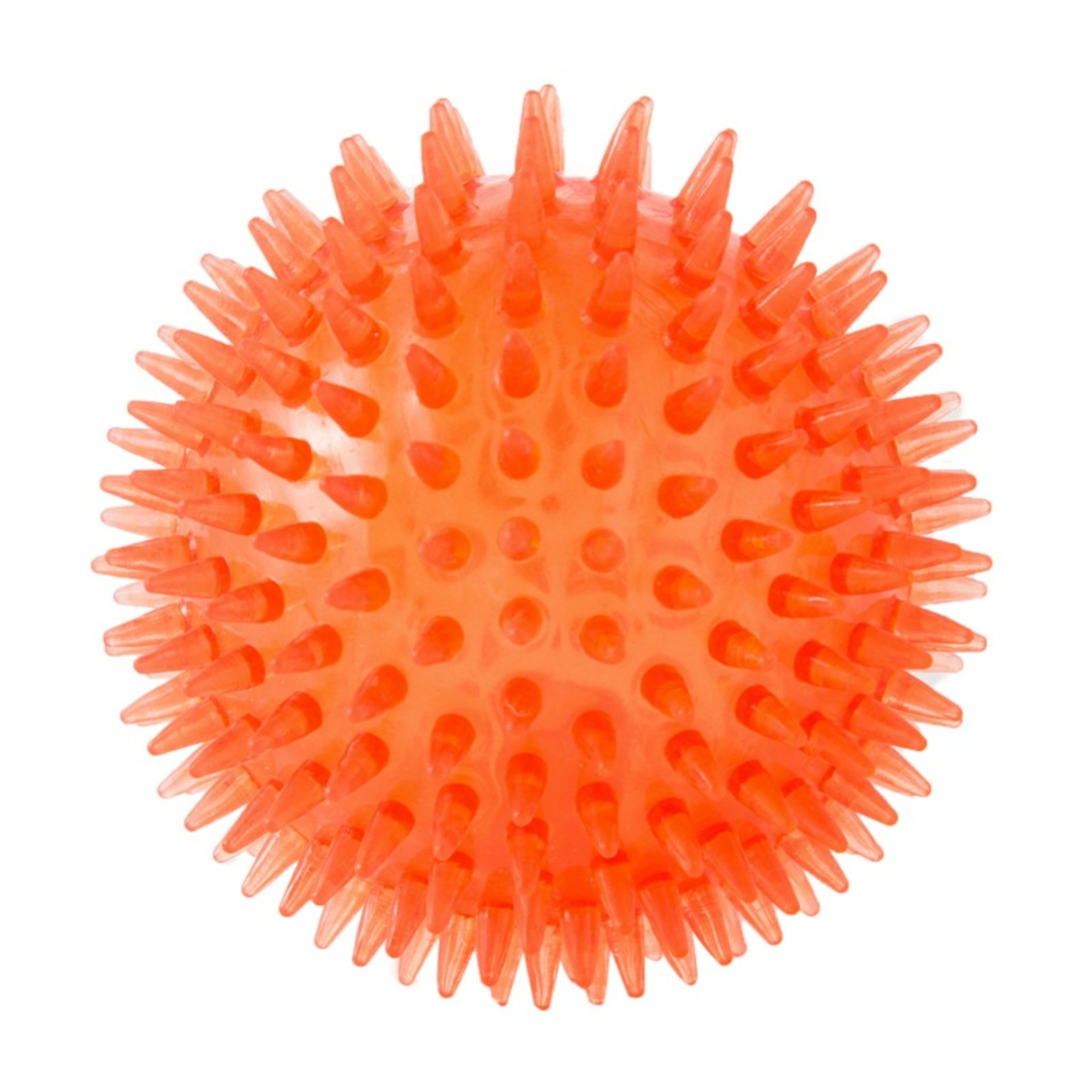 Cross-border Pet Dog Toy Ball 8