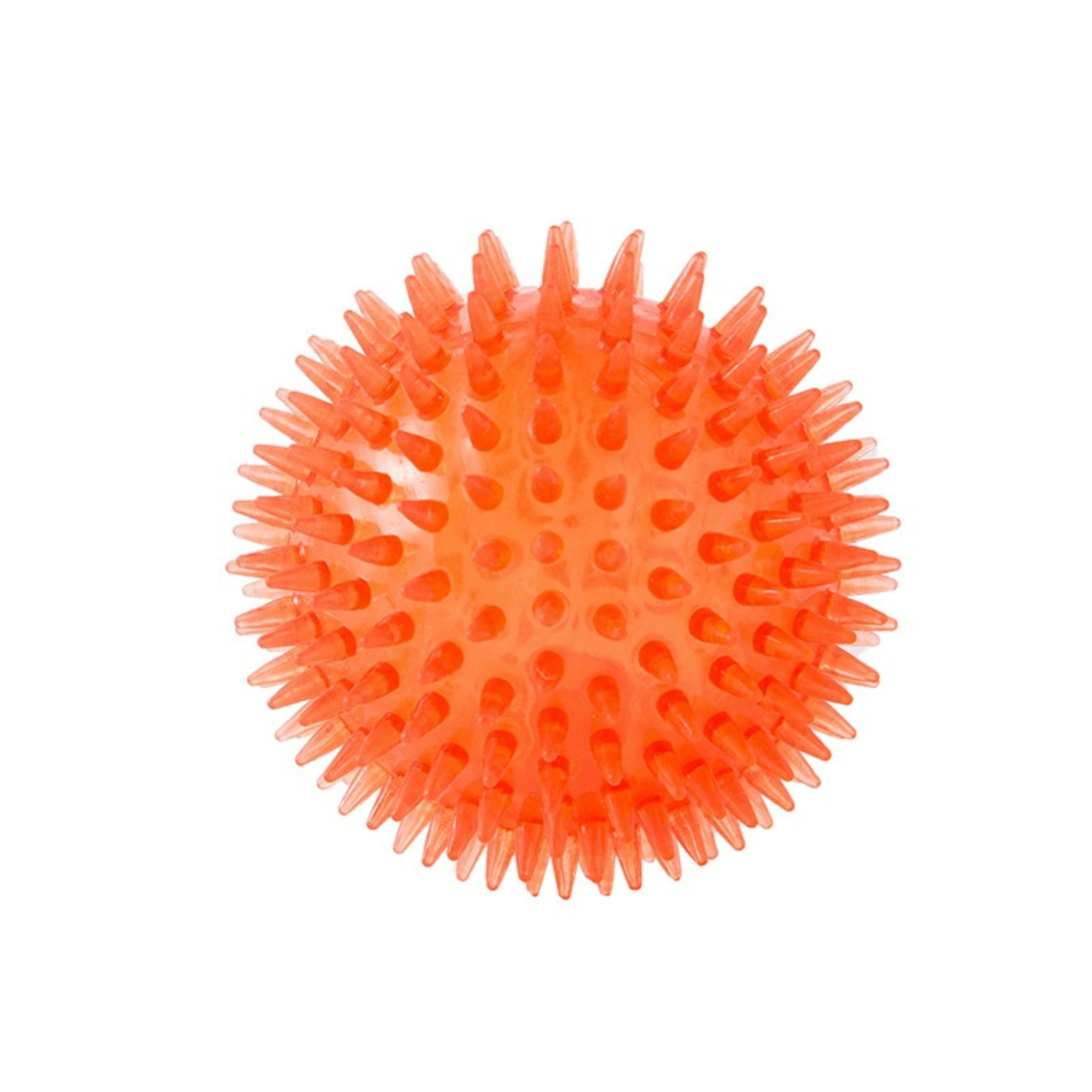 Cross-border Pet Dog Toy Ball 7