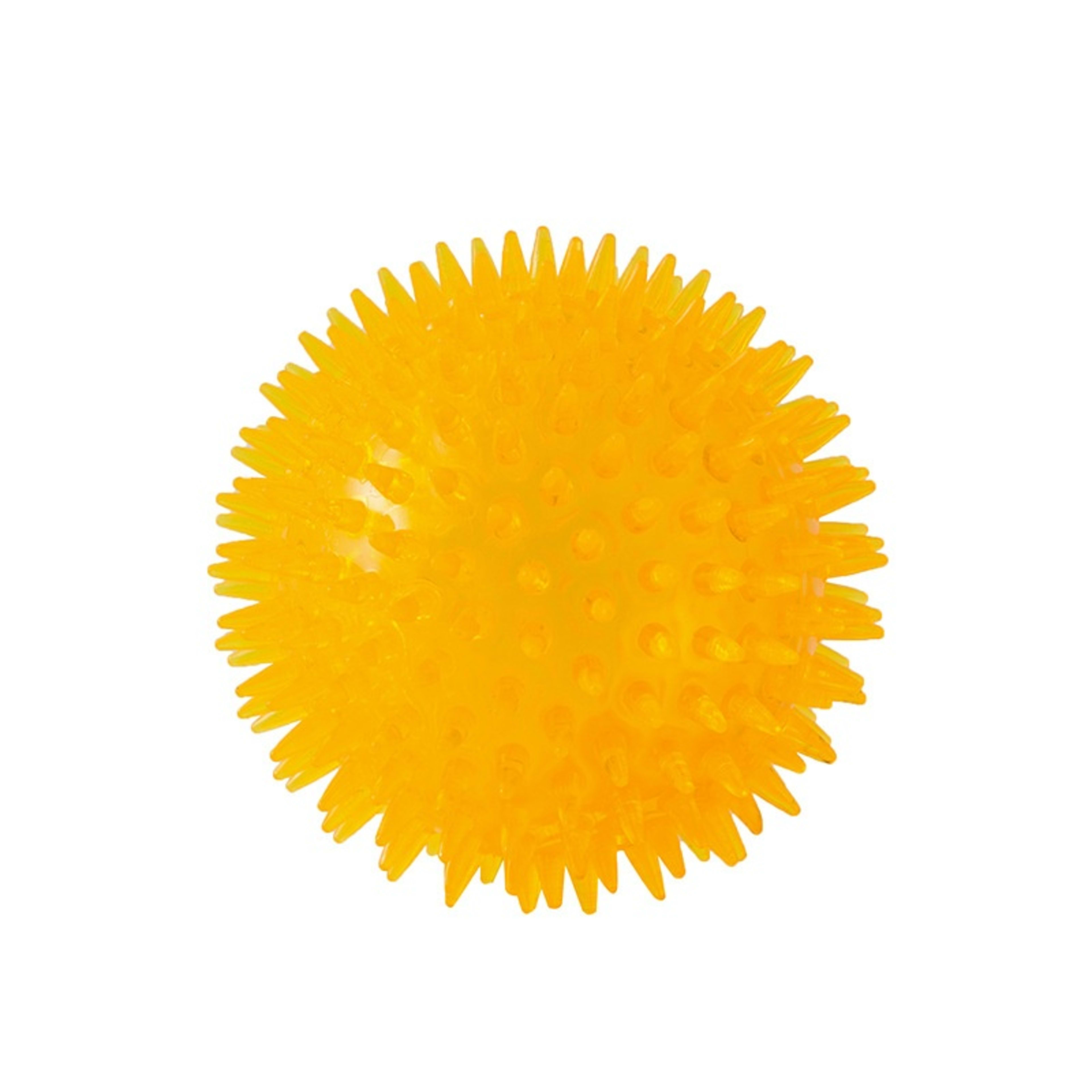 Cross-border Pet Dog Toy Ball 12