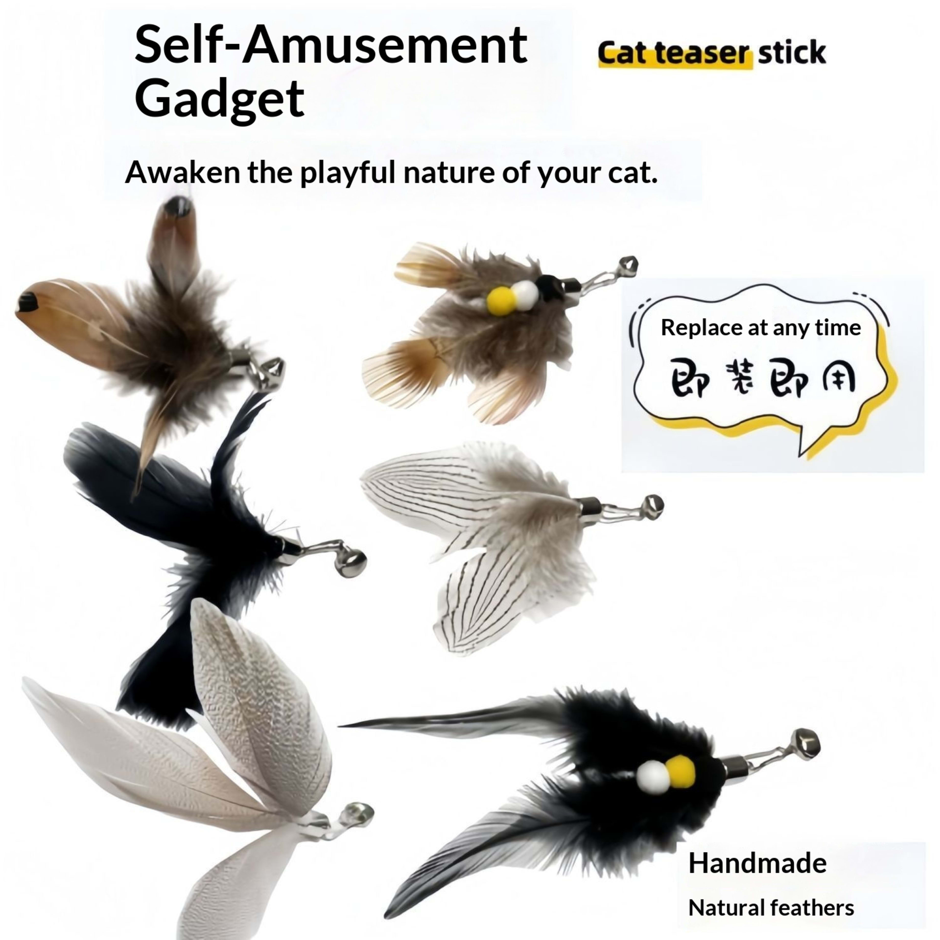 New Insect Feather Replacement Head Bell Cat Toy 9