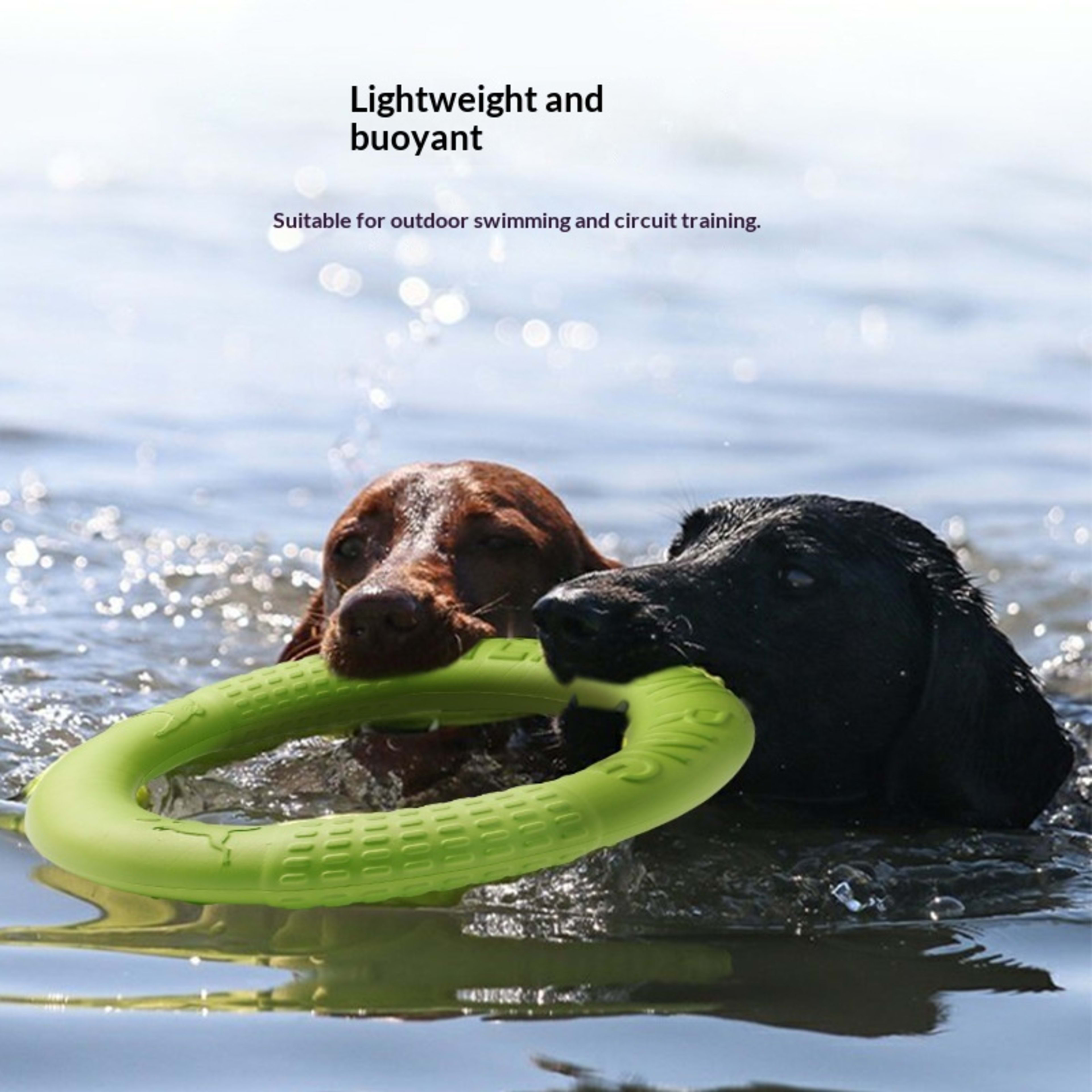 Nip-resistant Soft Pull-ring Flying Disc Dog Training Pet Toy 8