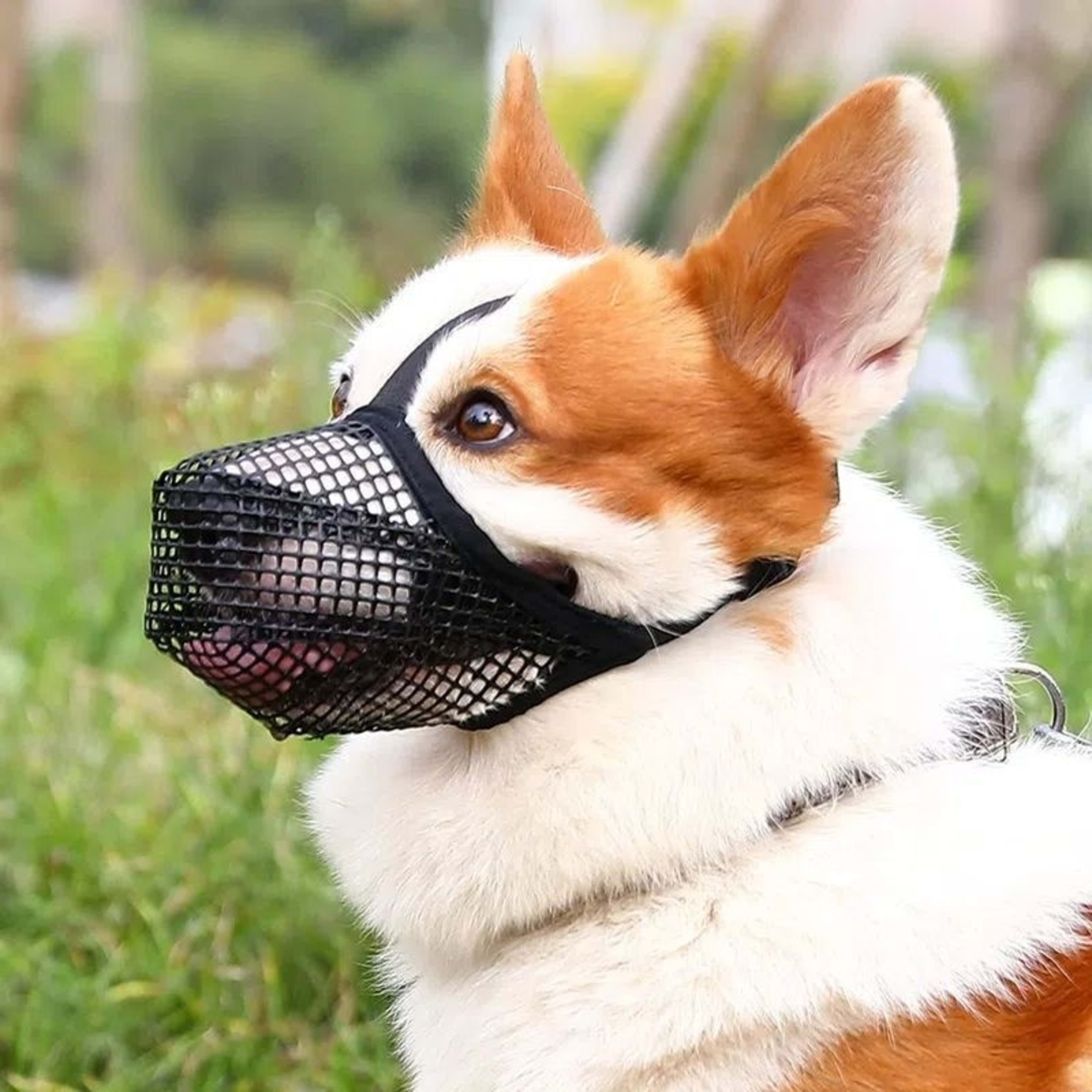 Dog Muzzle Mesh Breathable Pet 4