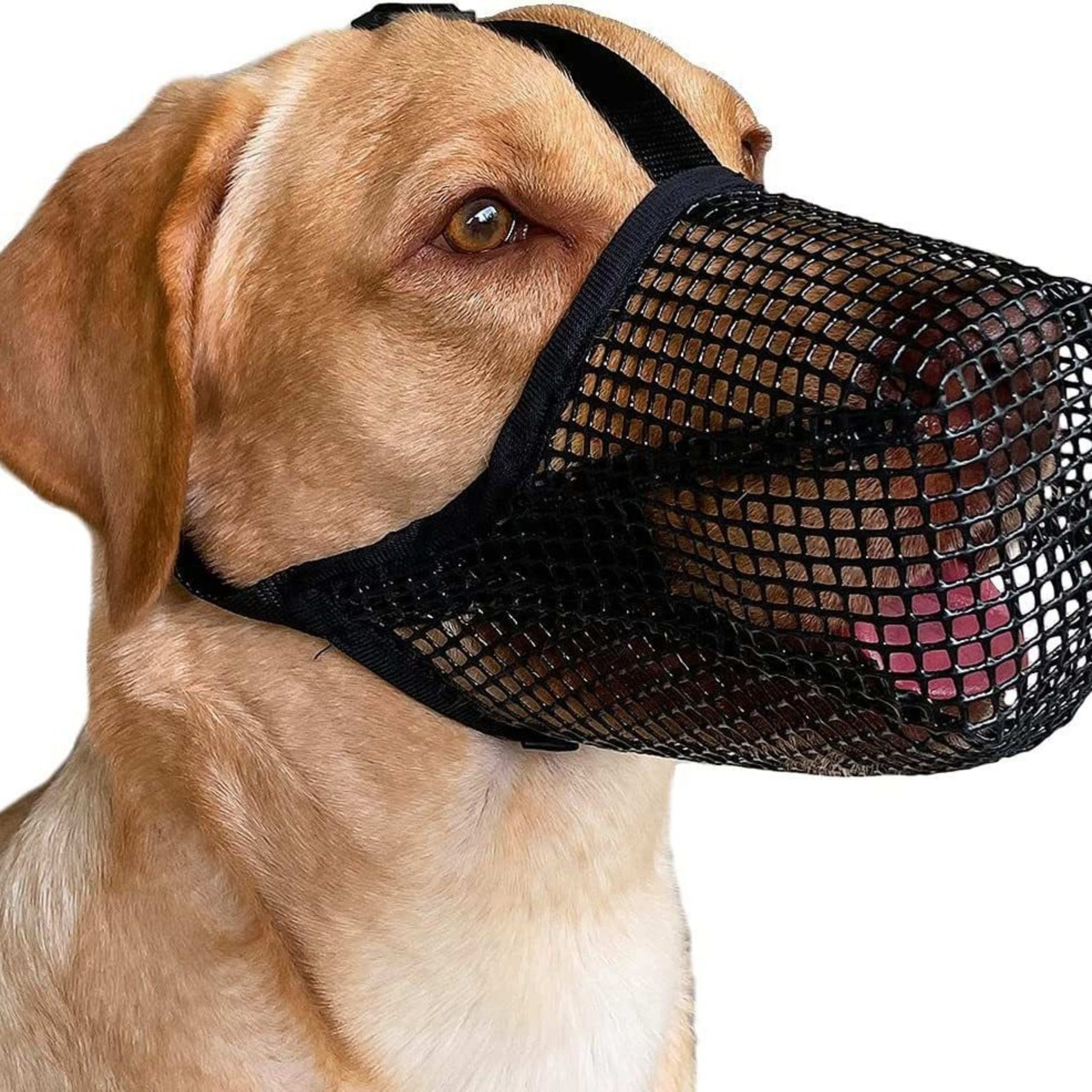 Dog Muzzle Mesh Breathable Pet 5
