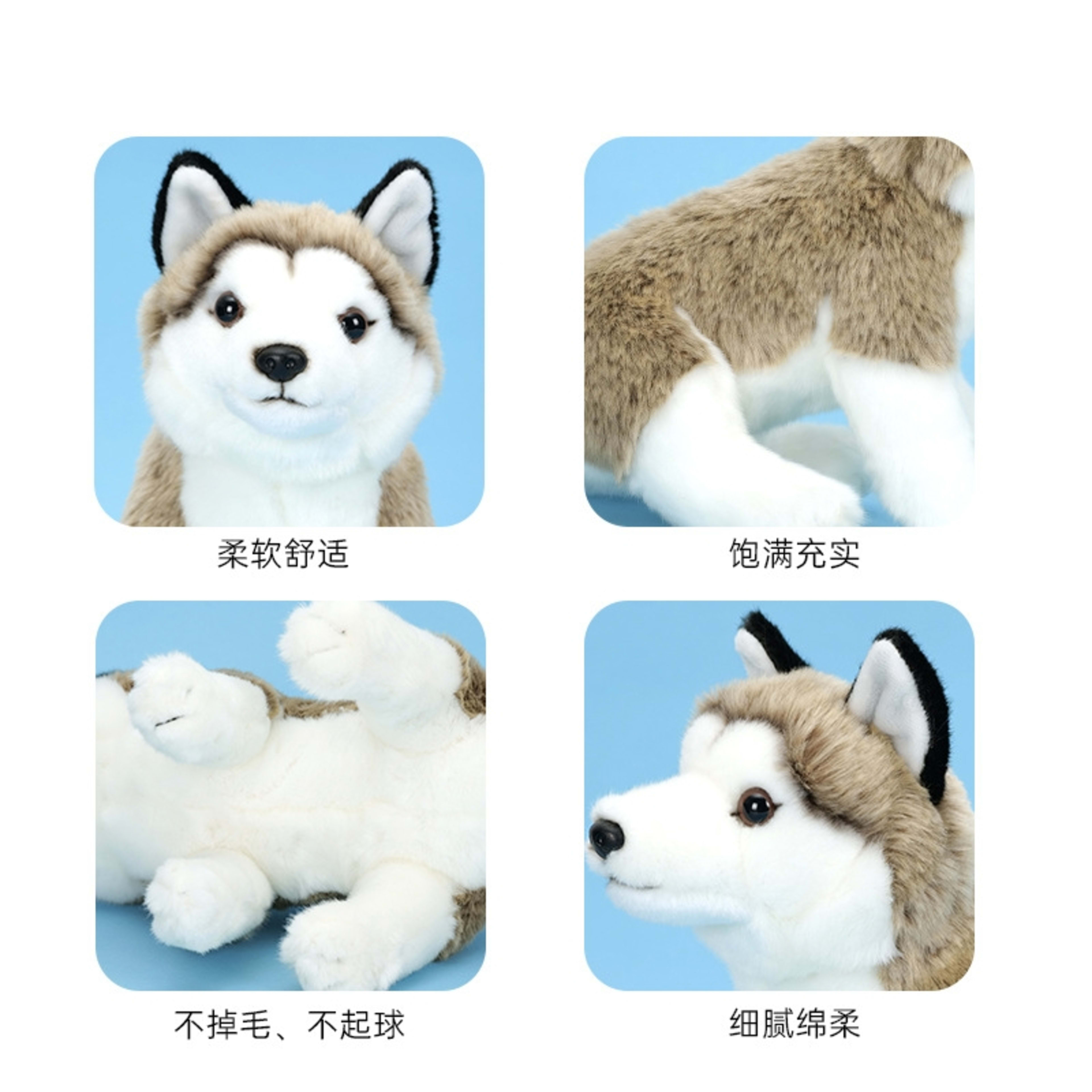 New Realistic Plush Huskycute Charming And Educational Decoration 3