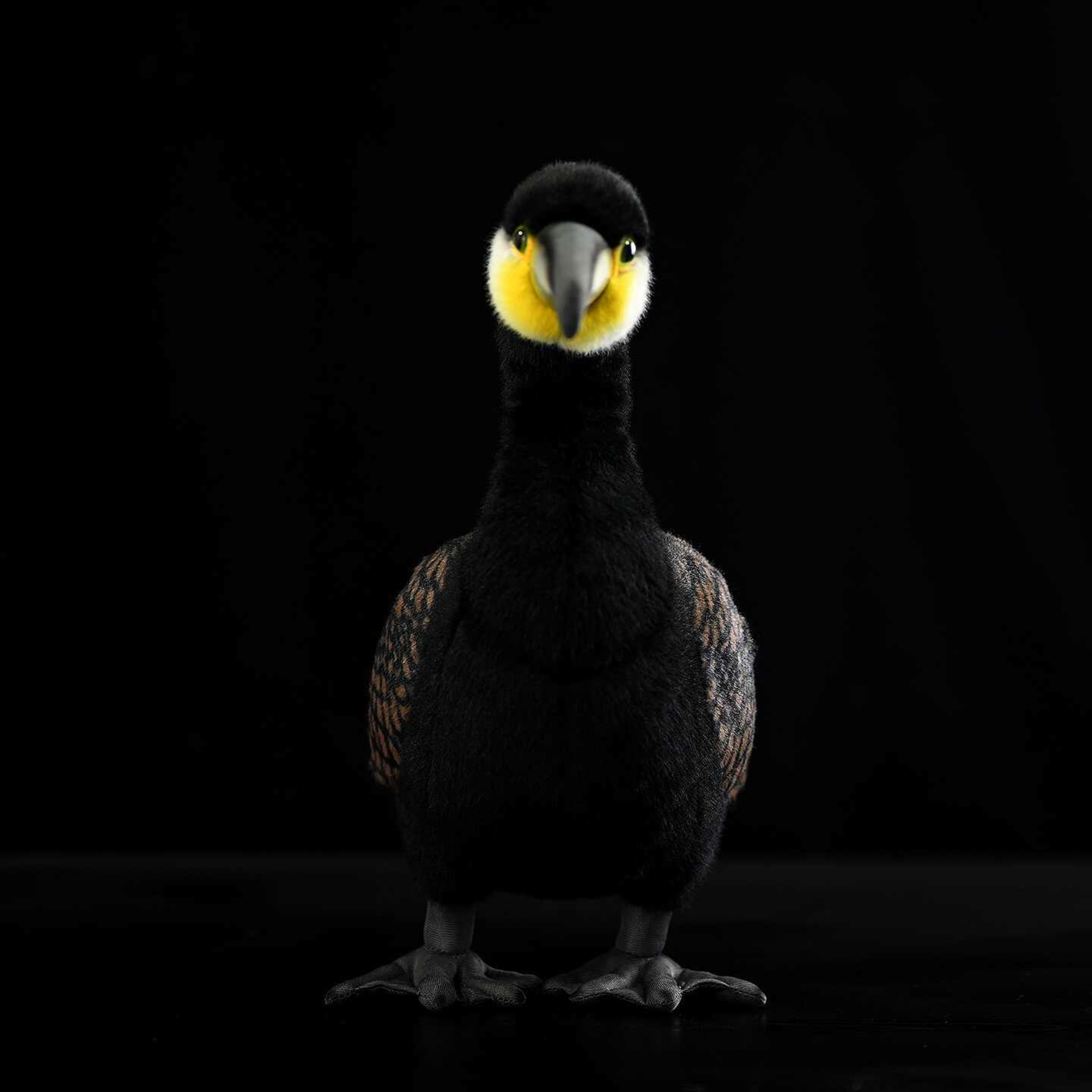Cormorant Plush Dolls Are Cute 5