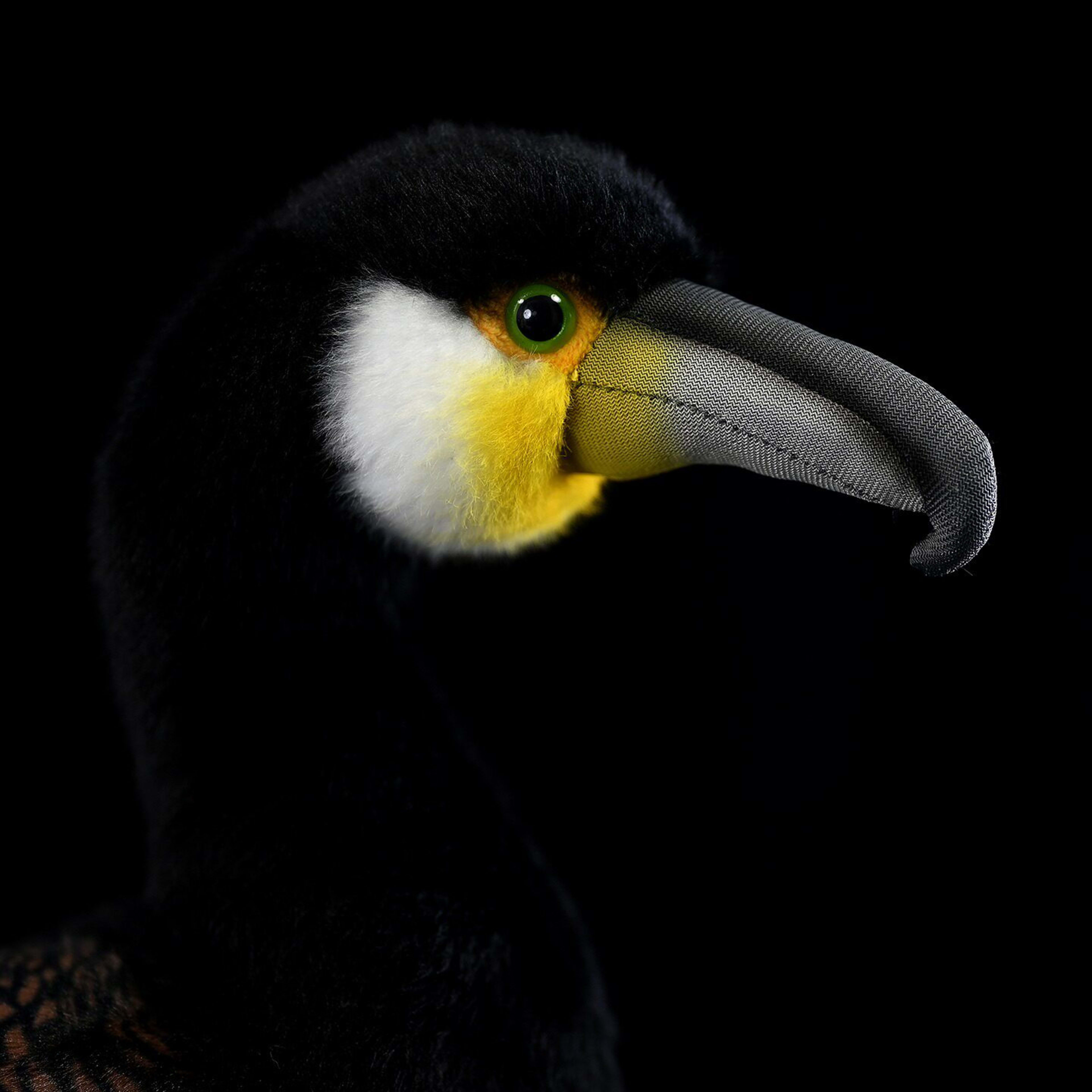 Cormorant Plush Dolls Are Cute 2