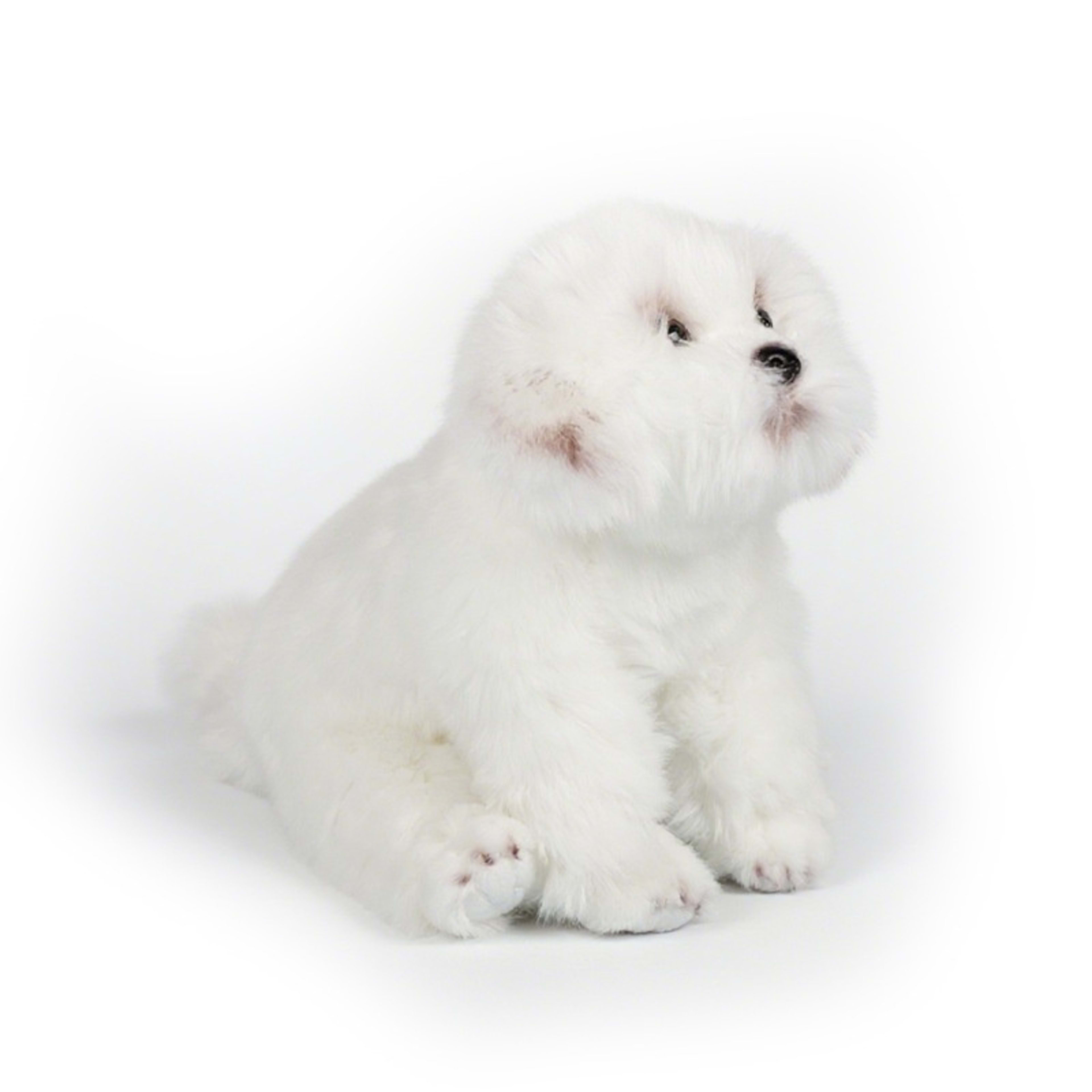 Toy White Dog Figurine Comfort Doll Birthday Gift 5