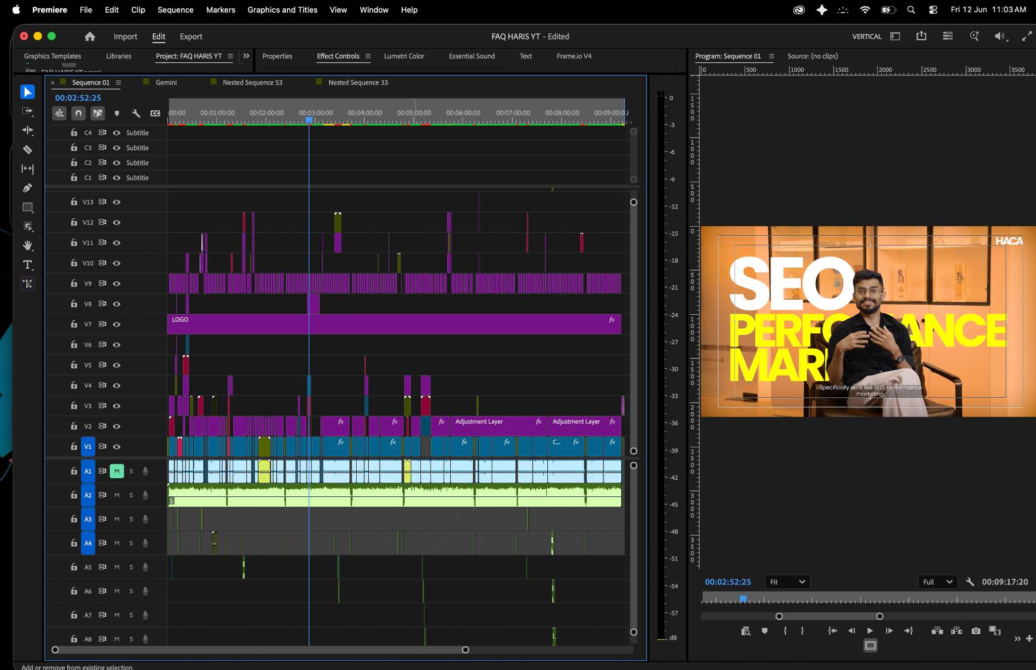 DaVinci Resolve Interface
