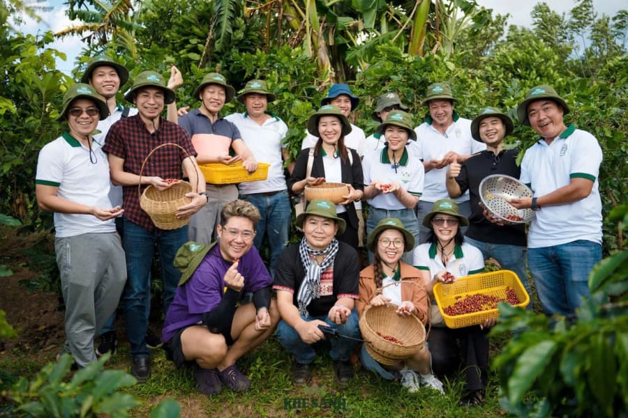 Du khách hòa mình vào trải nghiệm thu hoạch cà phê tại Khe Sanh Coffee tour - Ảnh: M.L