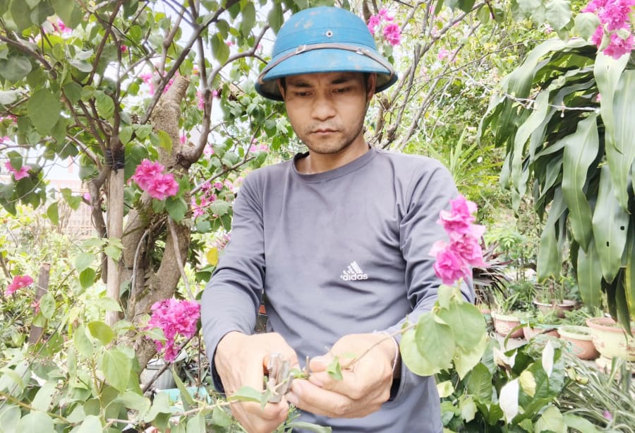 Anh Đinh Văn Giáo chăm sóc tỉ mỉ cho vườn cây cảnh của mình - Ảnh: X.V