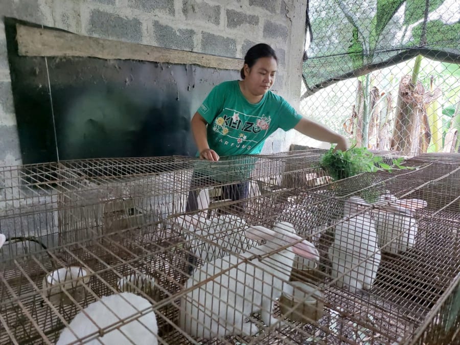 Nhờ thực hiện các tiêu chí trong xây dựng nông thôn mới, thu nhập của người dân ngày càng được cải thiện - Ảnh: Đ.N