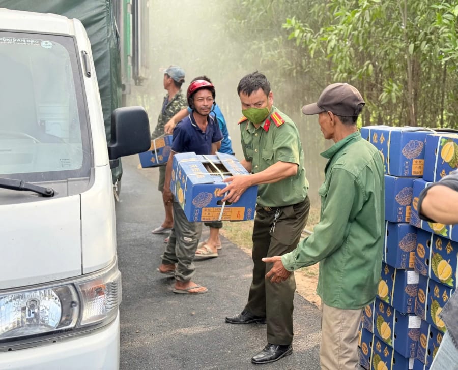 20 tấn sầu riêng đóng trong thùng giấy được người dân và lực lượng công an kịp thời đưa ra khỏi xe tải đang cháy - Ảnh: CTV
