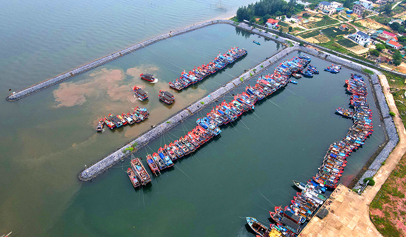 Trong lòng quê hương.